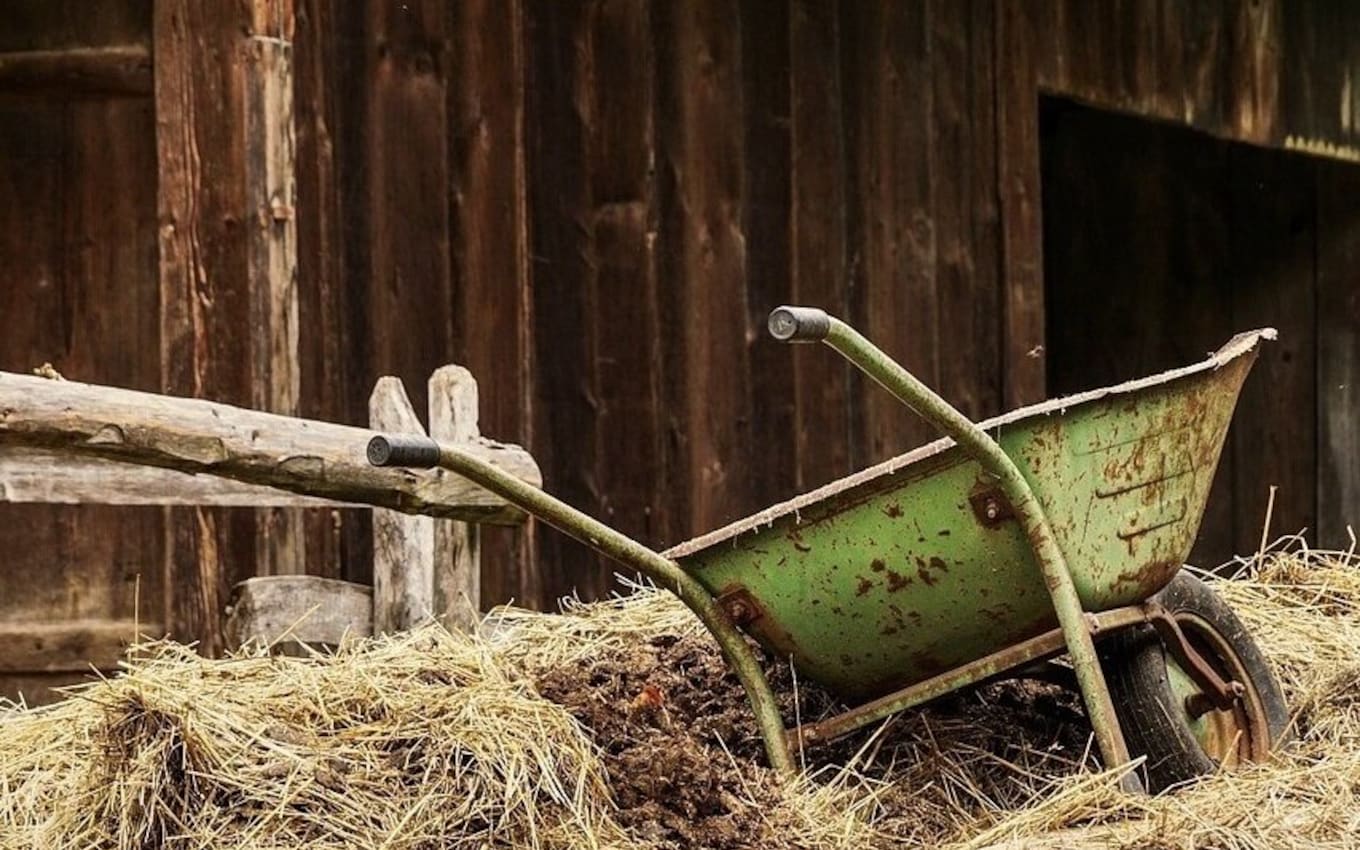 Stable tools - Hogstaonline