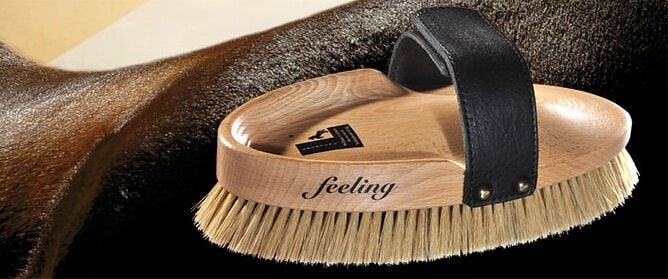 Leistner Natural Coco Fiber Brush