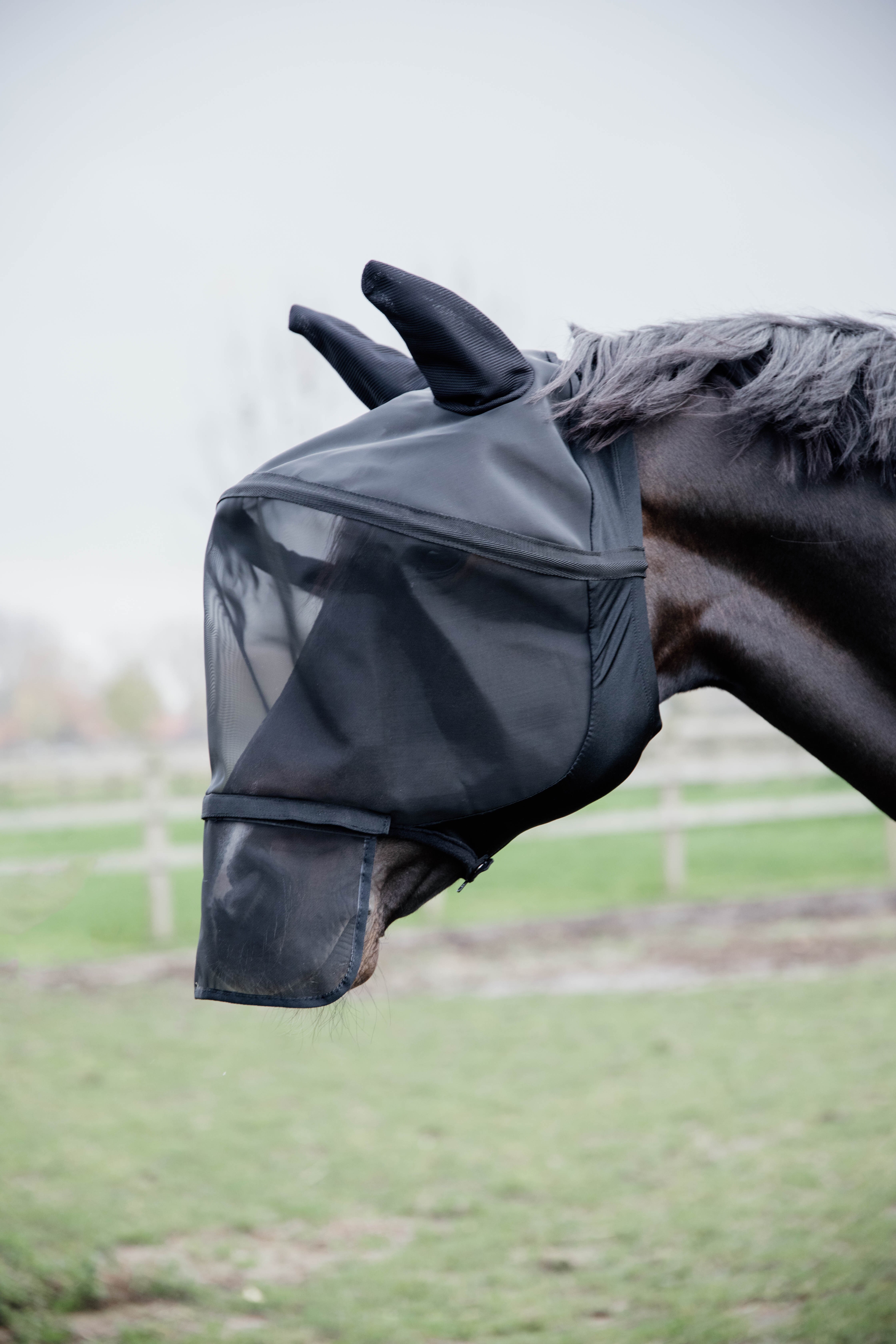 Fly mask pro - Black