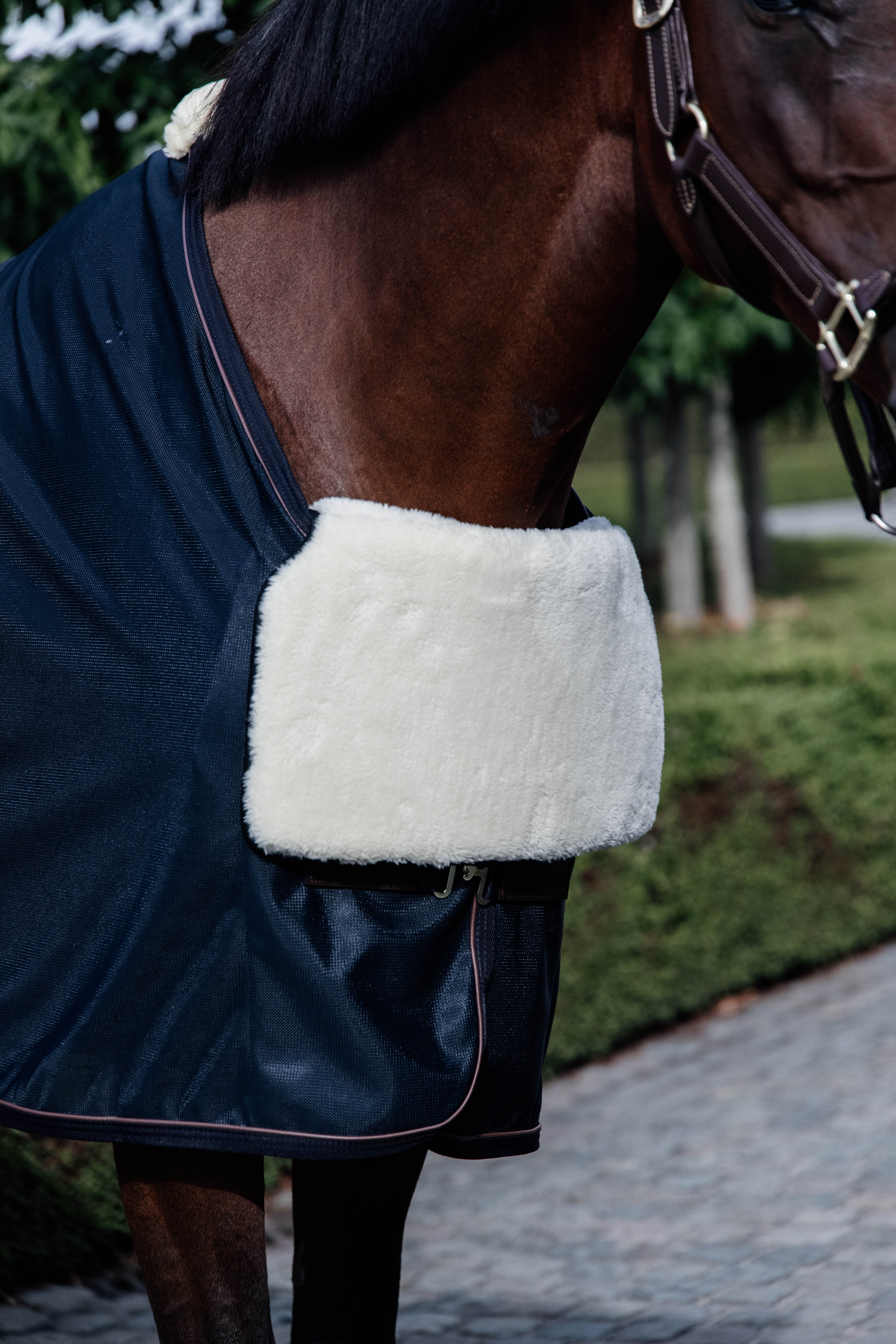 Horse Bib Chest Protection - Nature