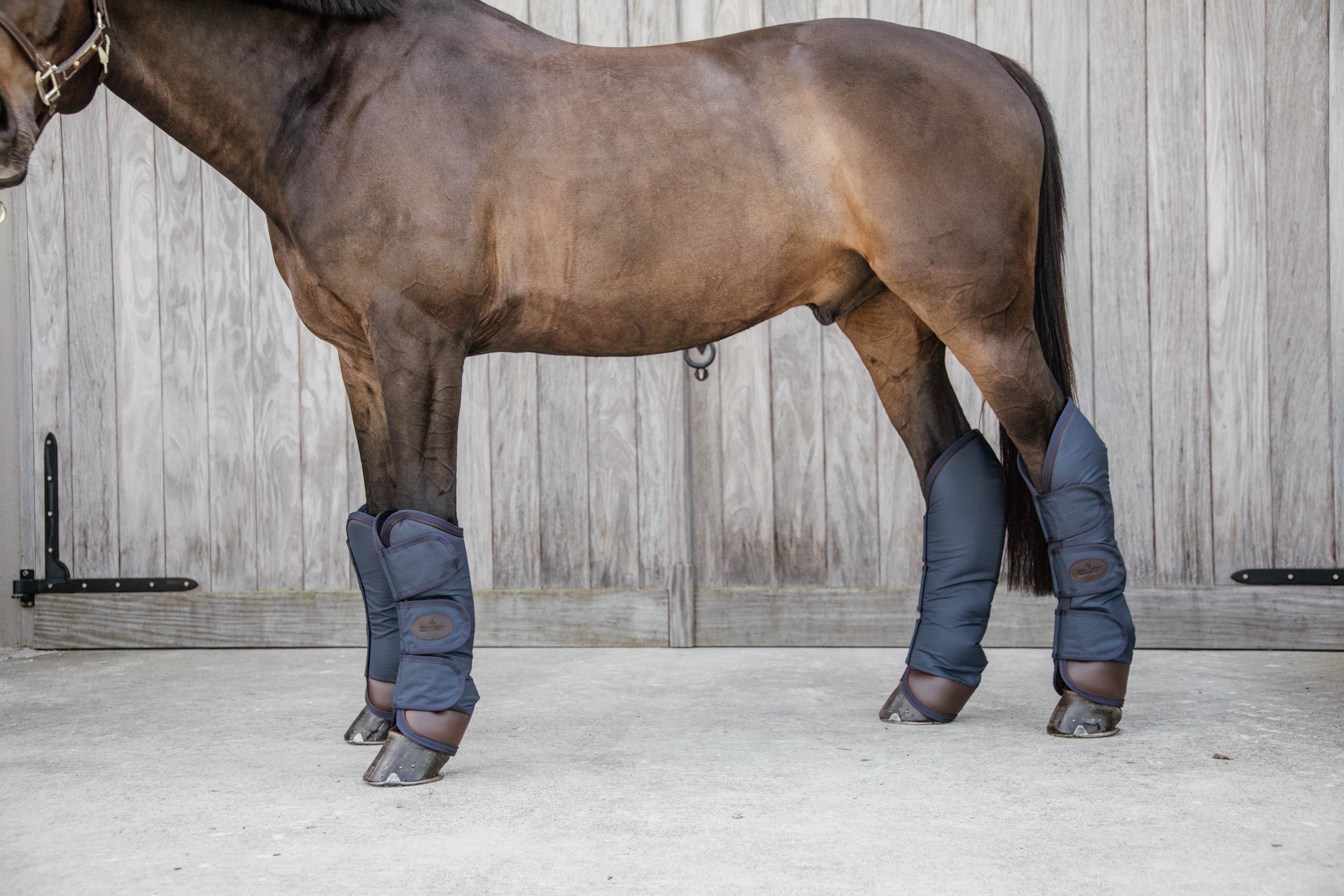 Travel Boots - Navy