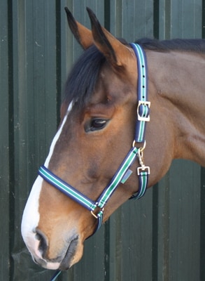 Textile halter - Navy/Green/White