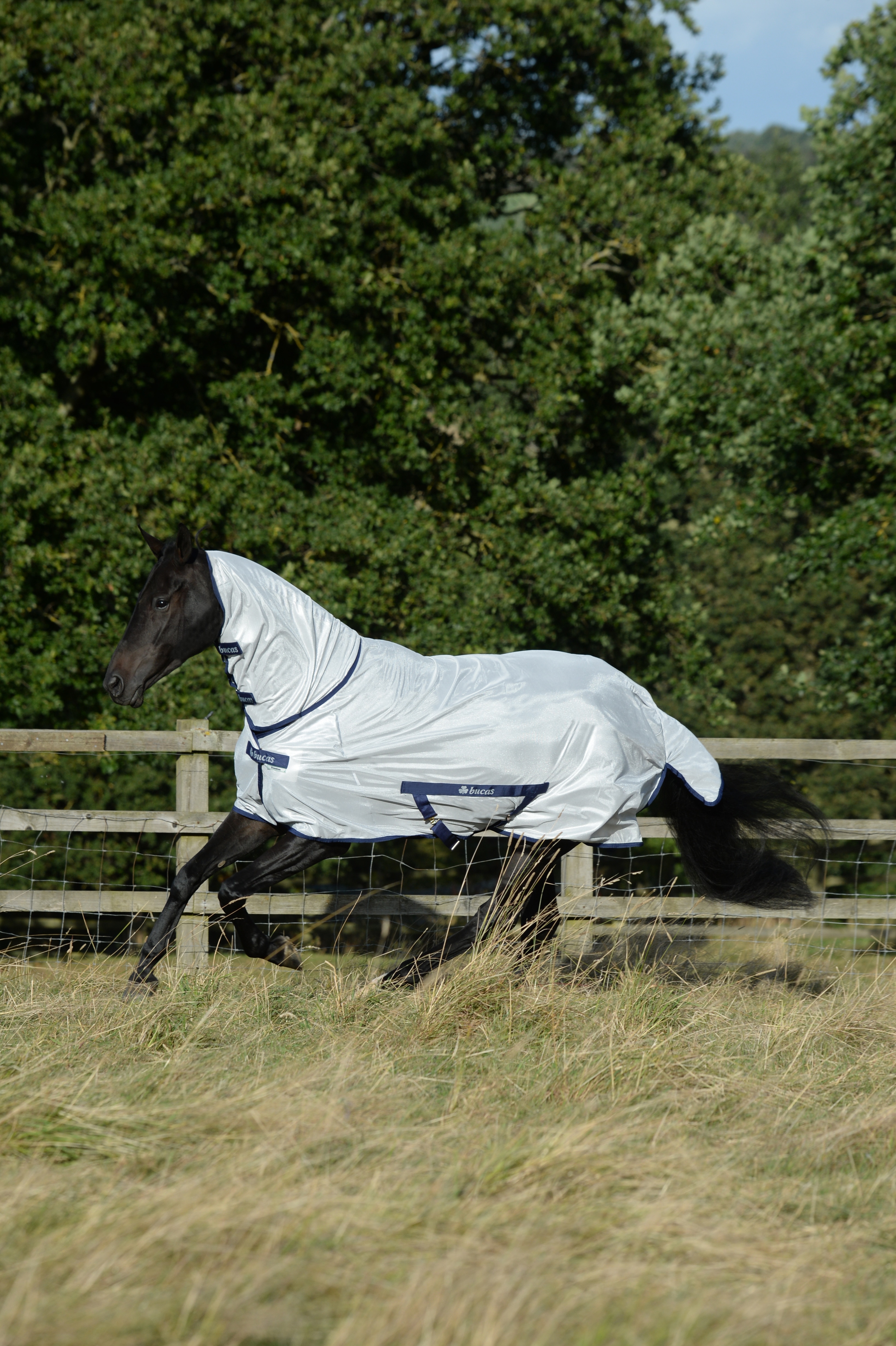 Freedom Fly Sheet FN - Silver från Bucas