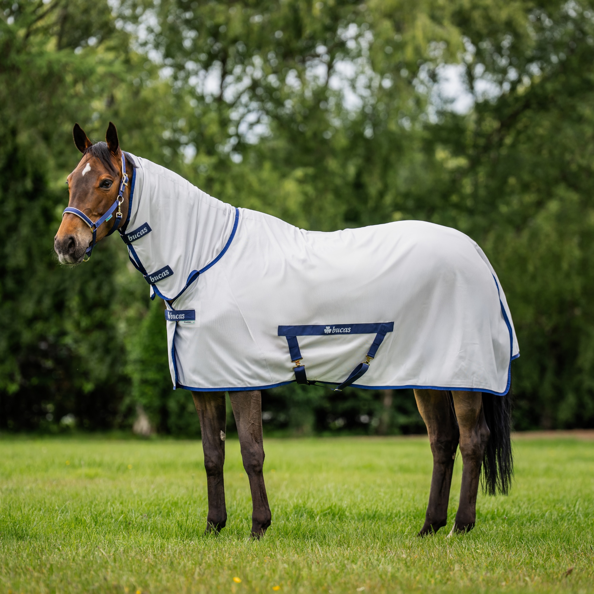 Freedom Fly Sheet FN - Silver