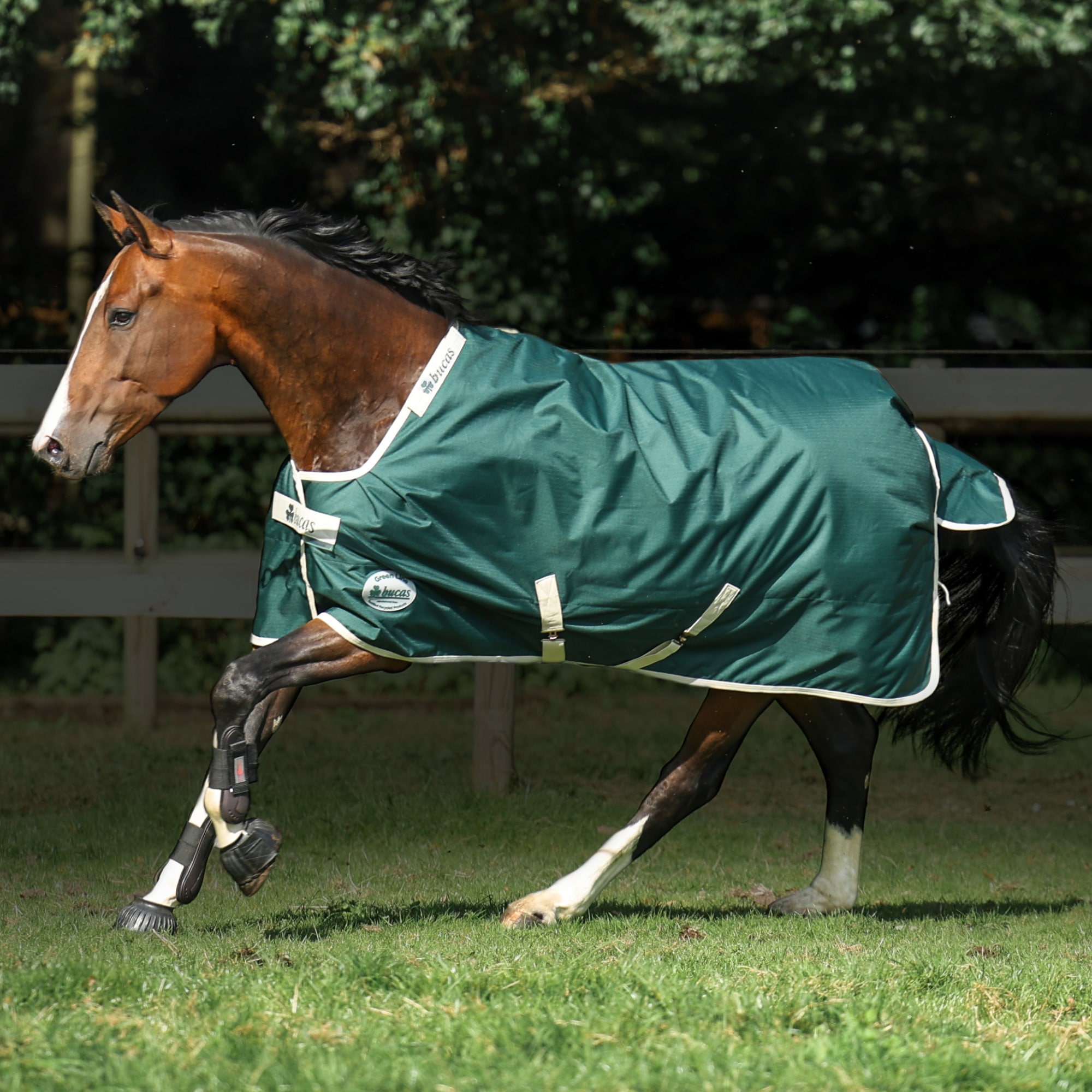 Green-Line Turnout 100 gr