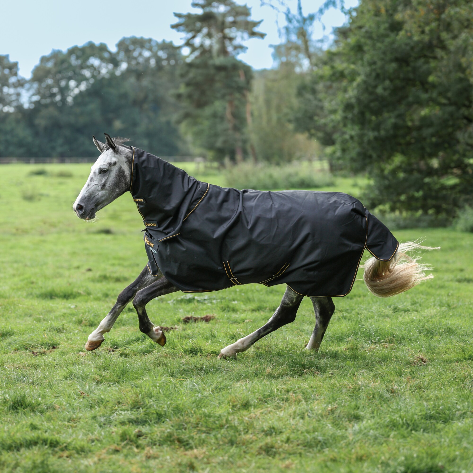 Irish Turnout Light Set - Black