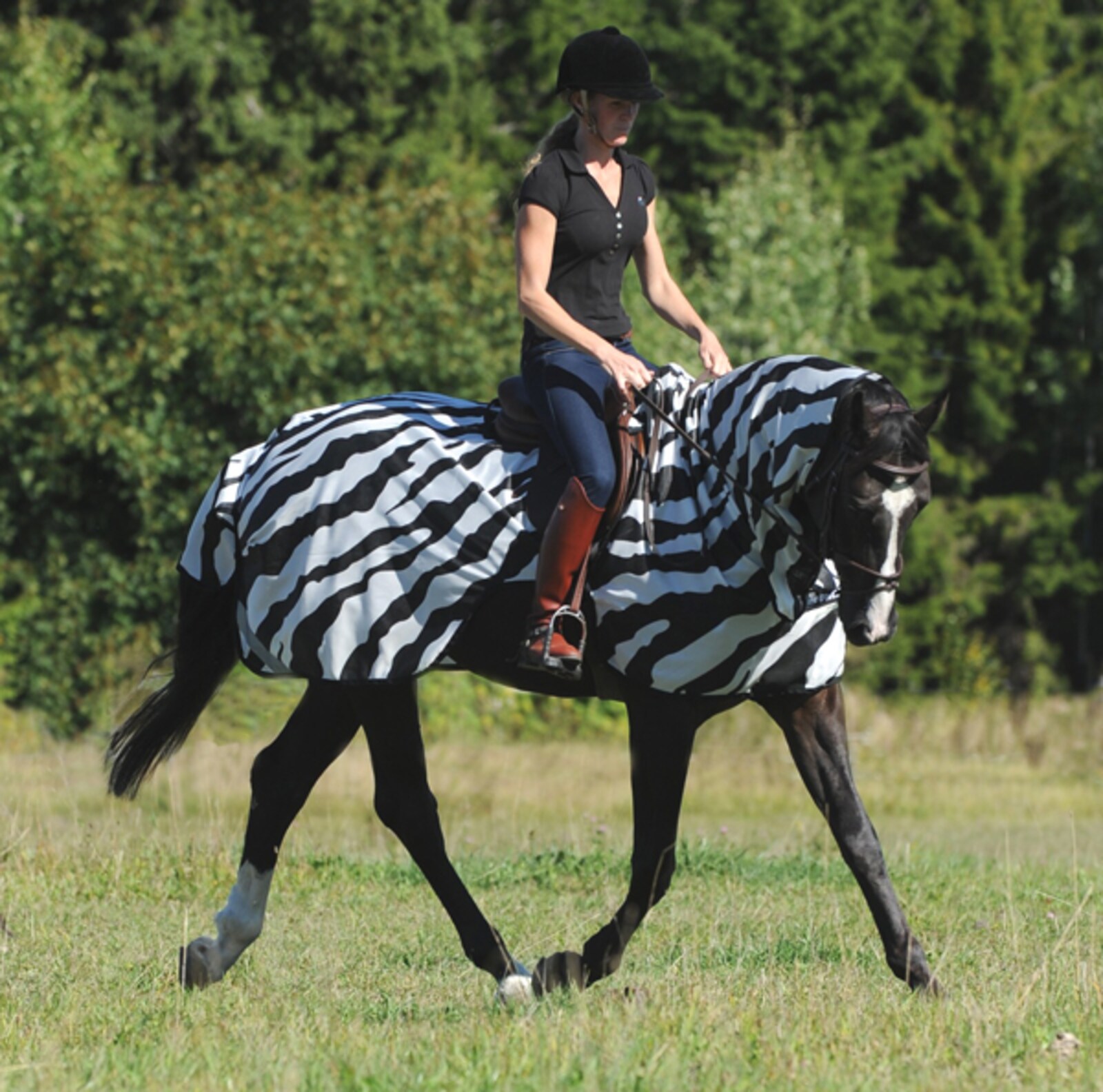 Buzz-Off Riding Zebra from Bucas - Hogstaonline