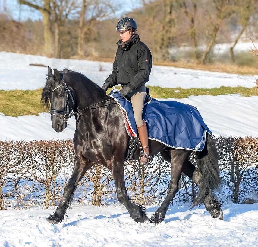 bucas-riding-rug