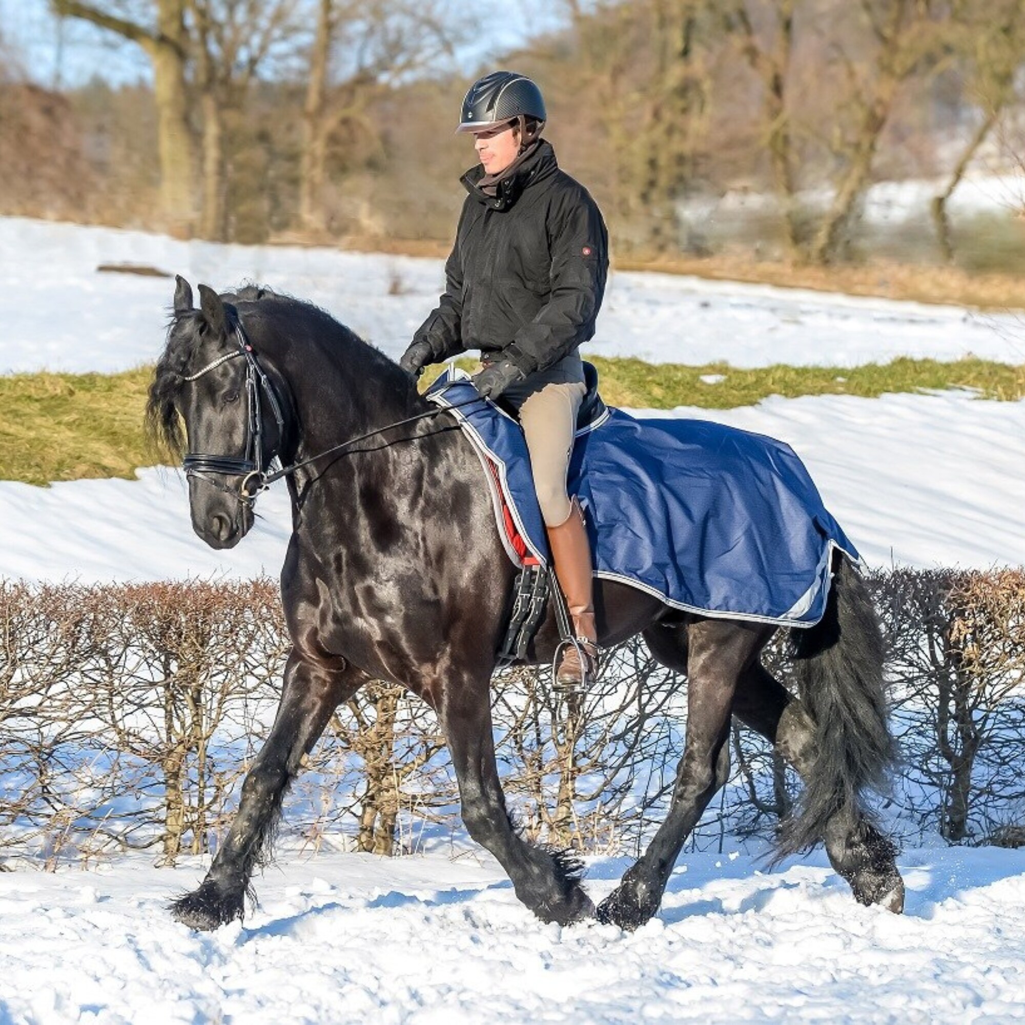 Riding Rug