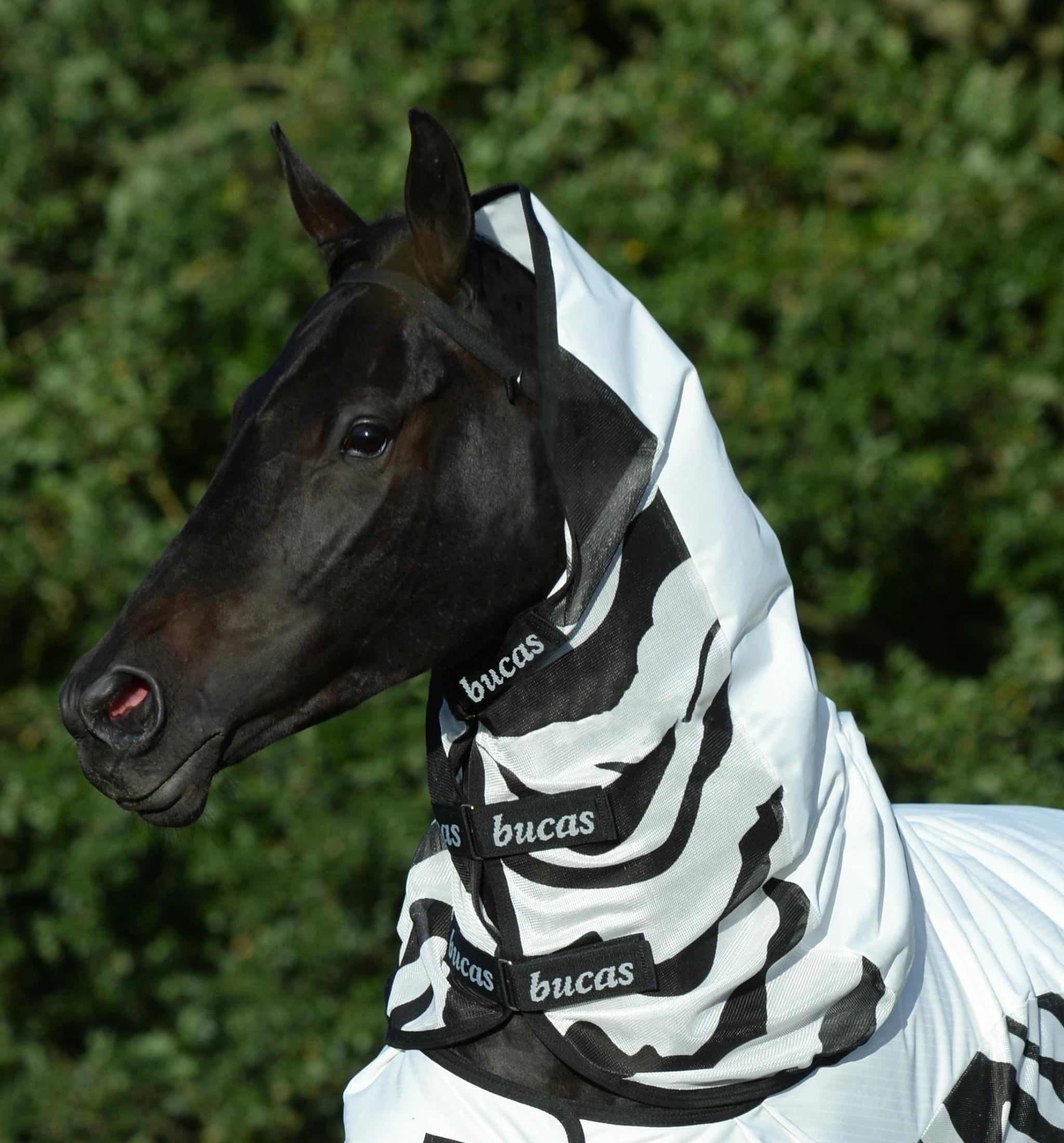 Neck for Buzz off Rain Zebra - Small