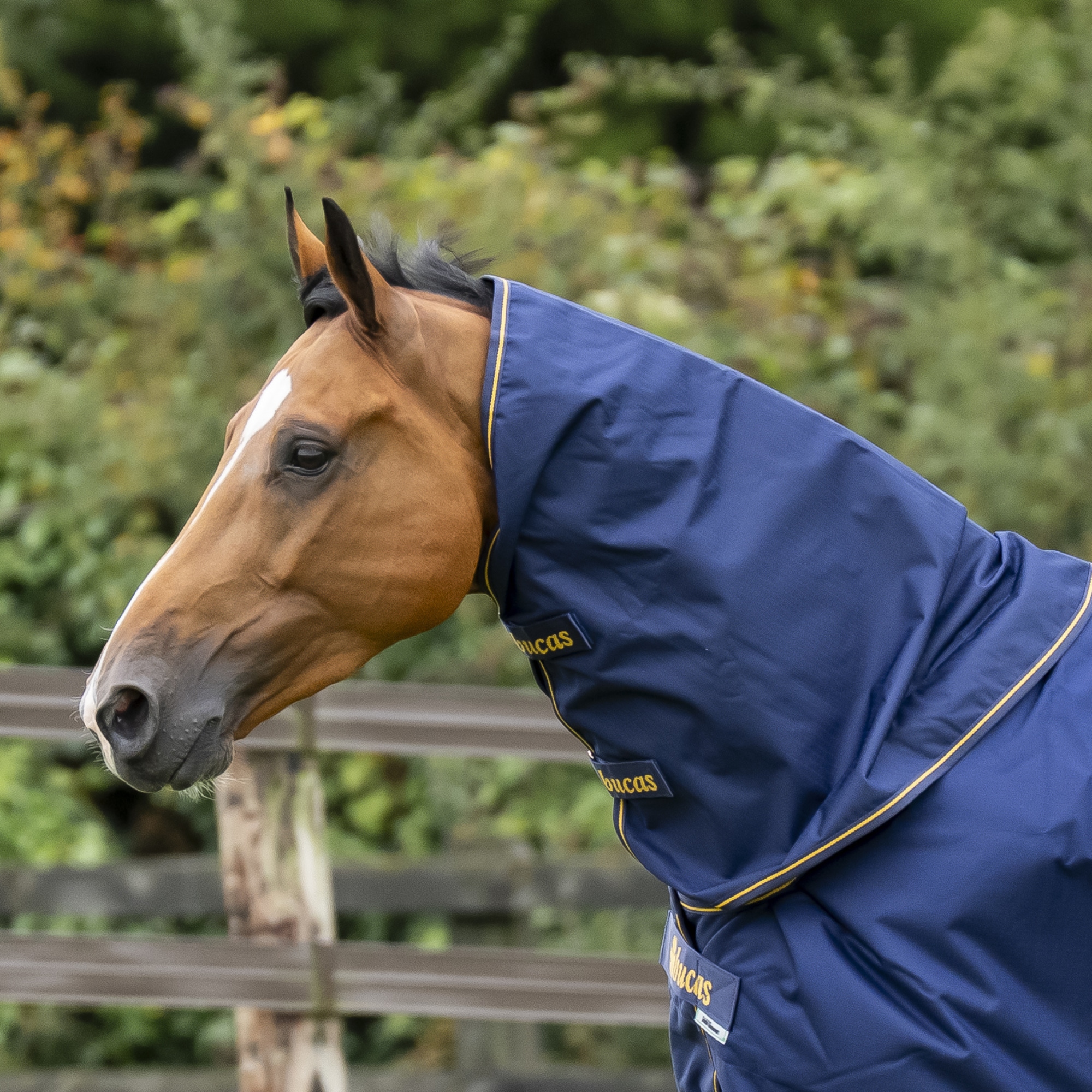 Irish Turnout Neck - Navy