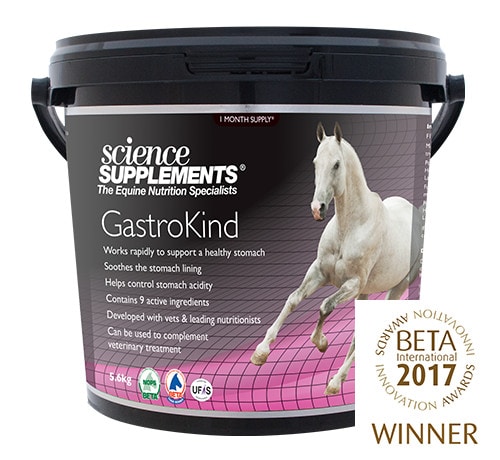 Gastro Kind - 5,6 kg