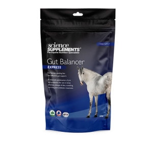 Gut Balancer Express - 588 gr