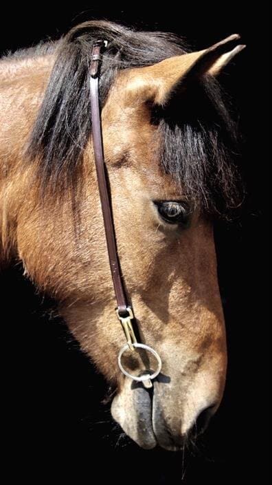 Bridle Divar With Hooks - Brown