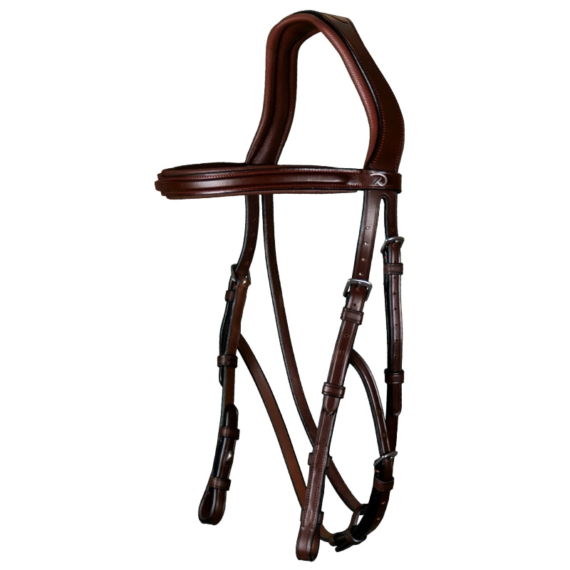 Hackamore bridle