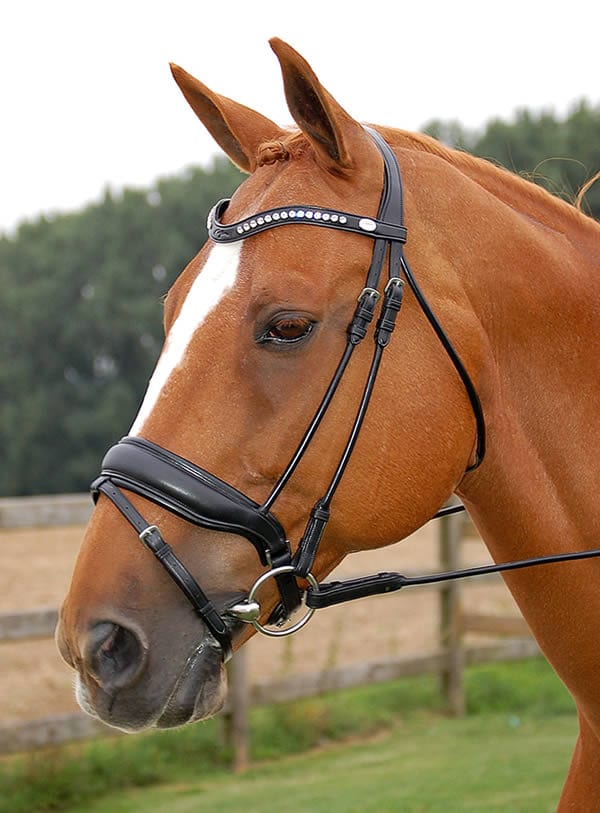 Round Sewn Bridle - Brown - Full