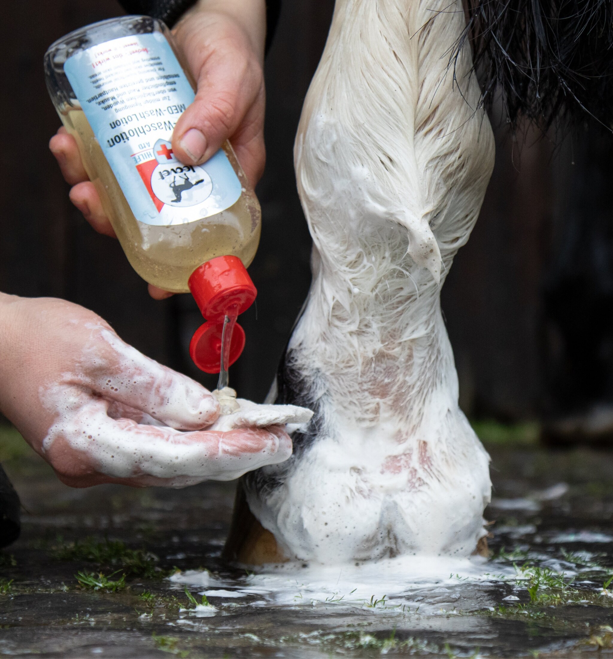 First Aid Wash Lotion