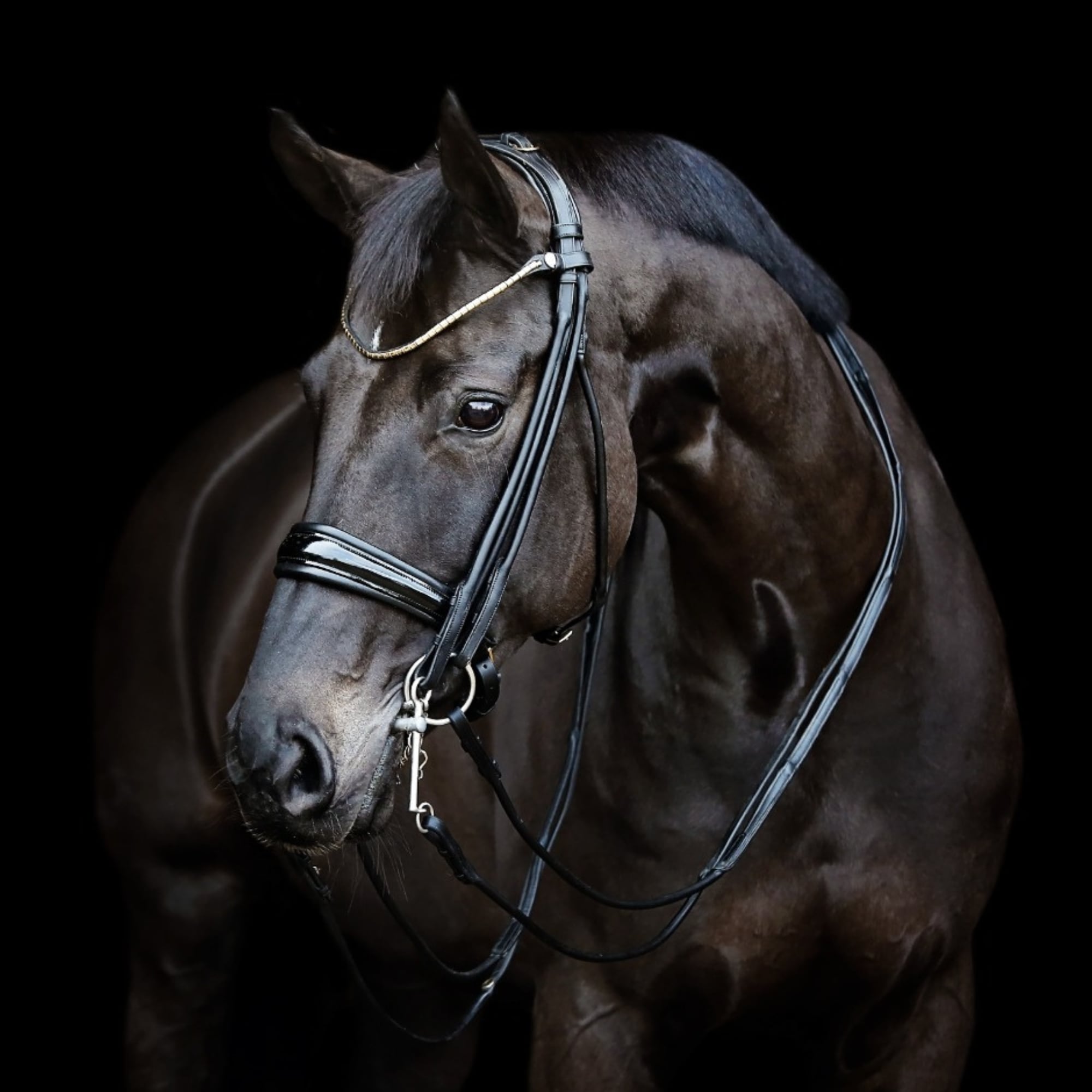 Finesse double Bridle - Black/Lack/Brass