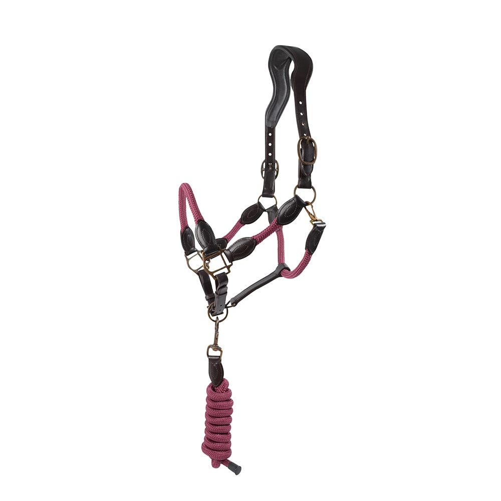 HS Halter and Lead rope - Burgundy