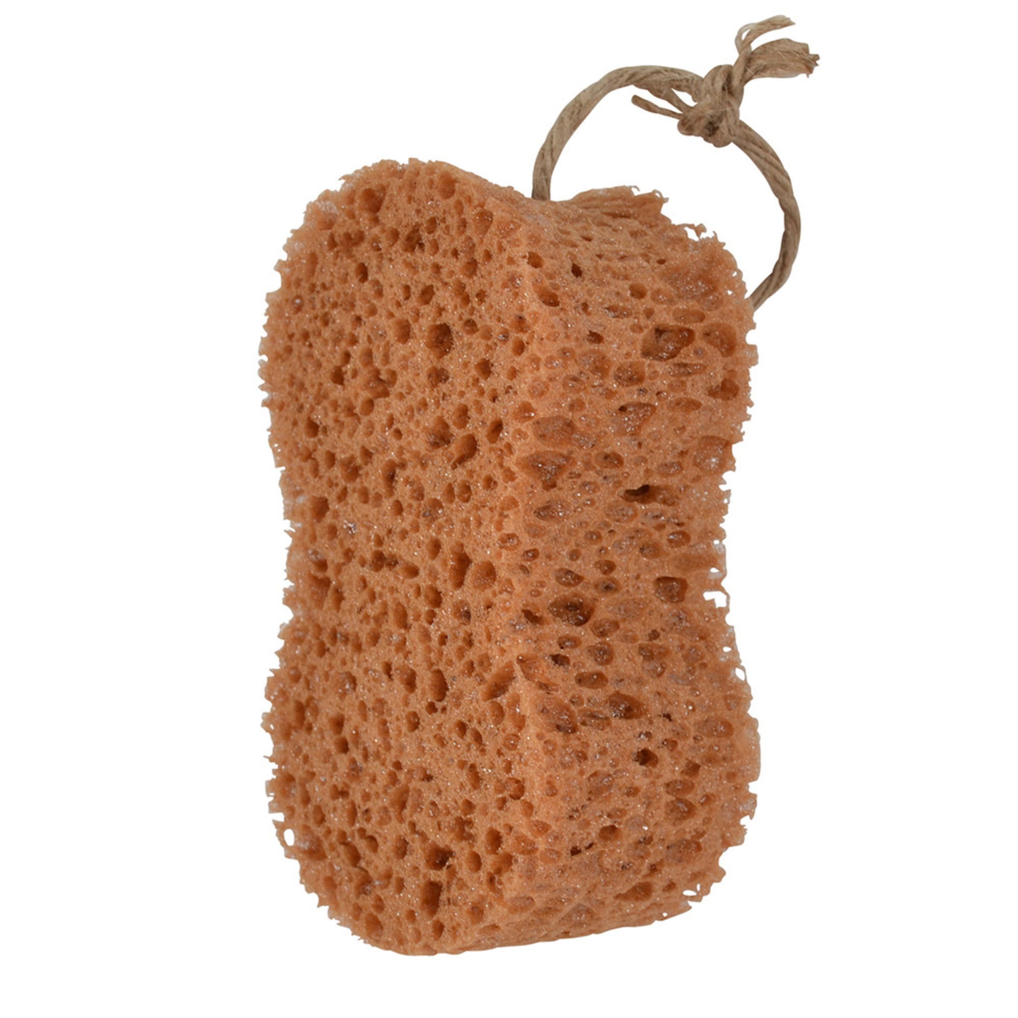Sponge Infinity