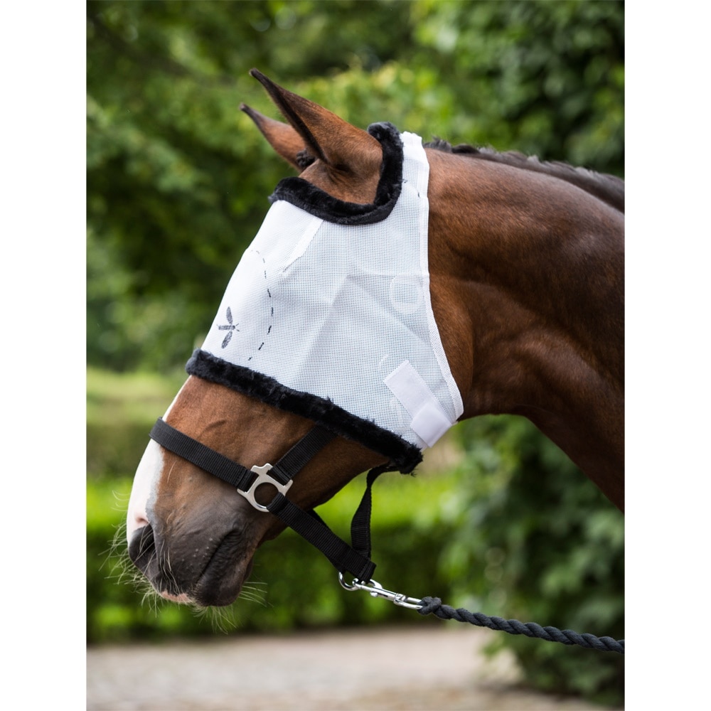 Fly mask