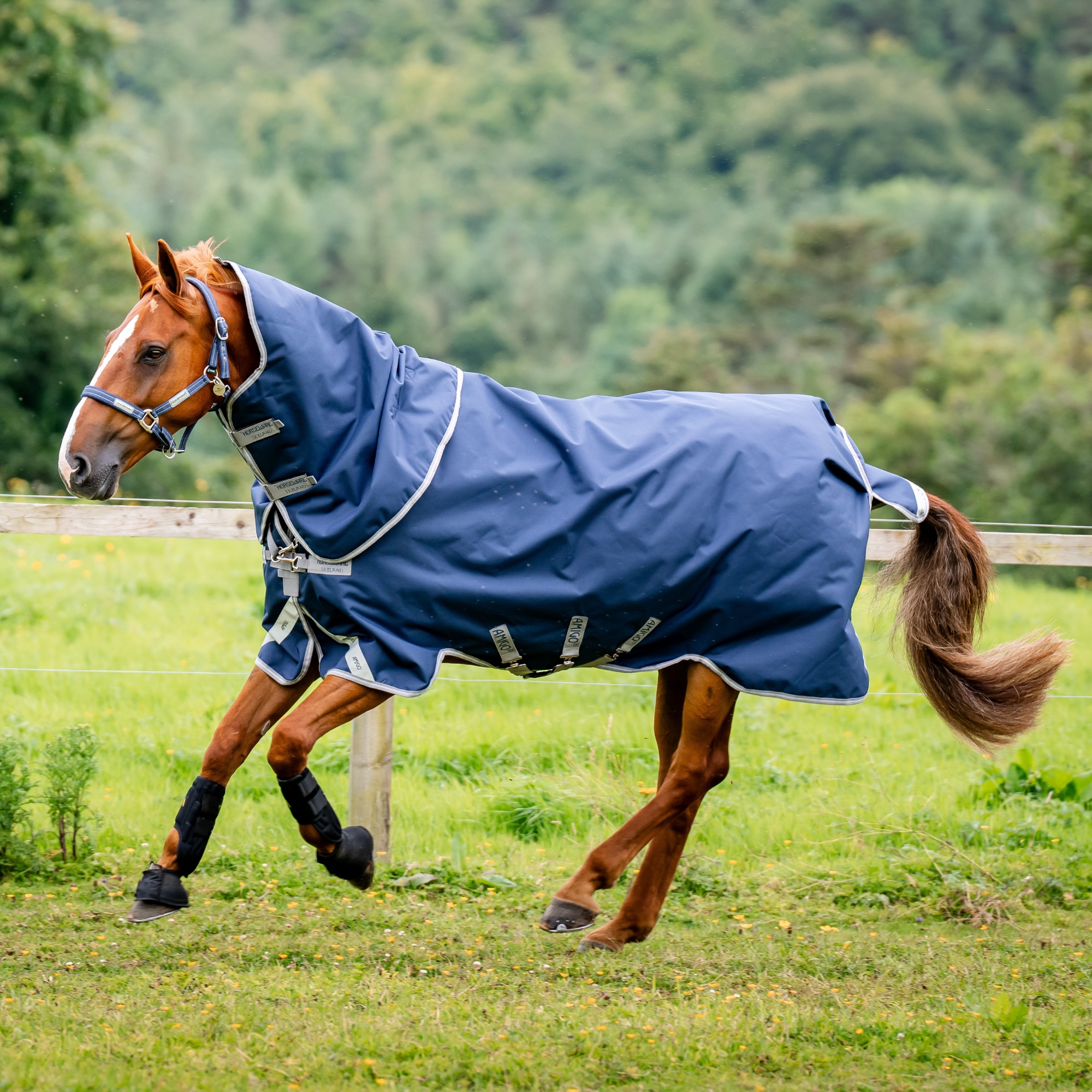 Horseware Utetäcke 250g Marin