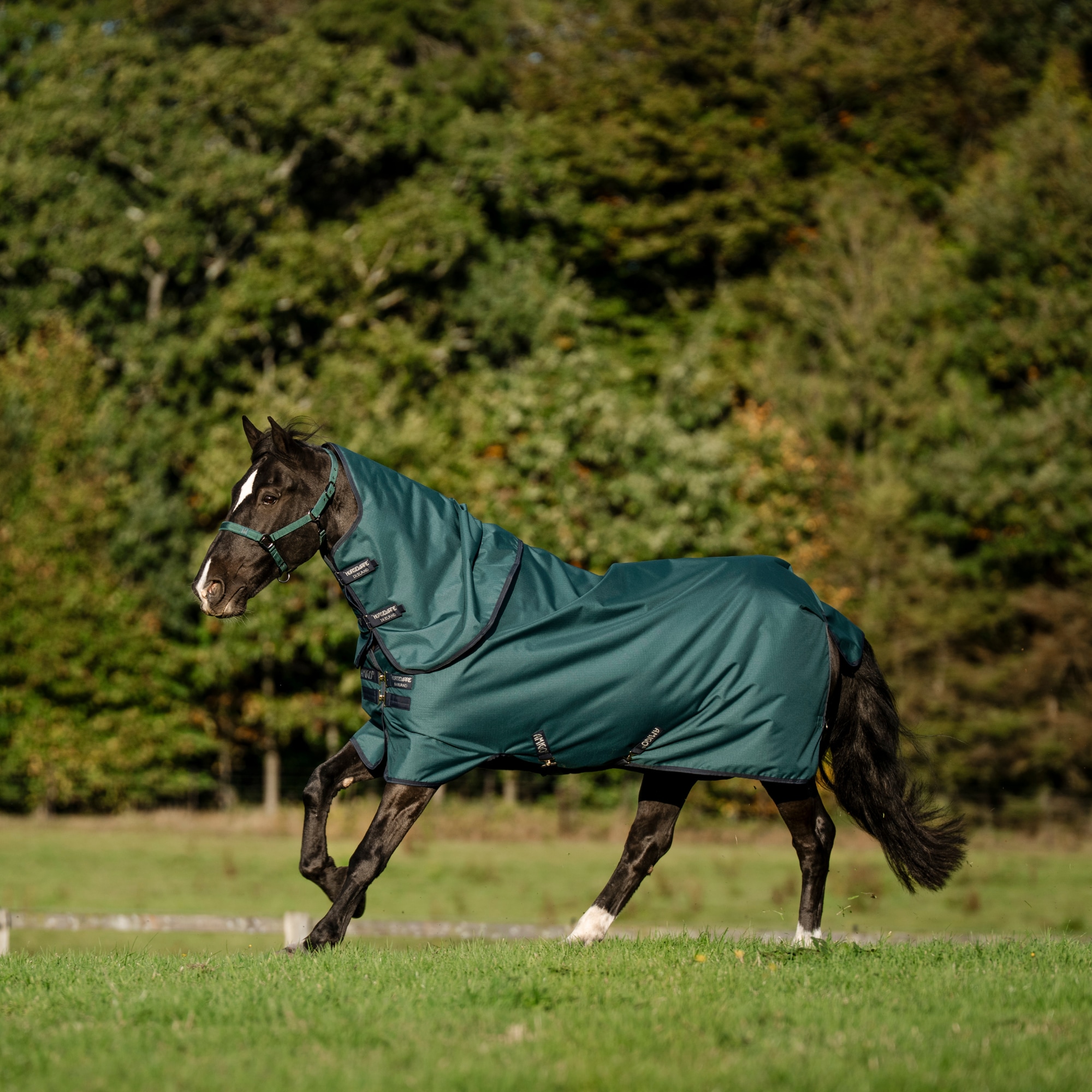 Amigo RS 900D Plus Pony Turnout - 0g - Dynasty Green