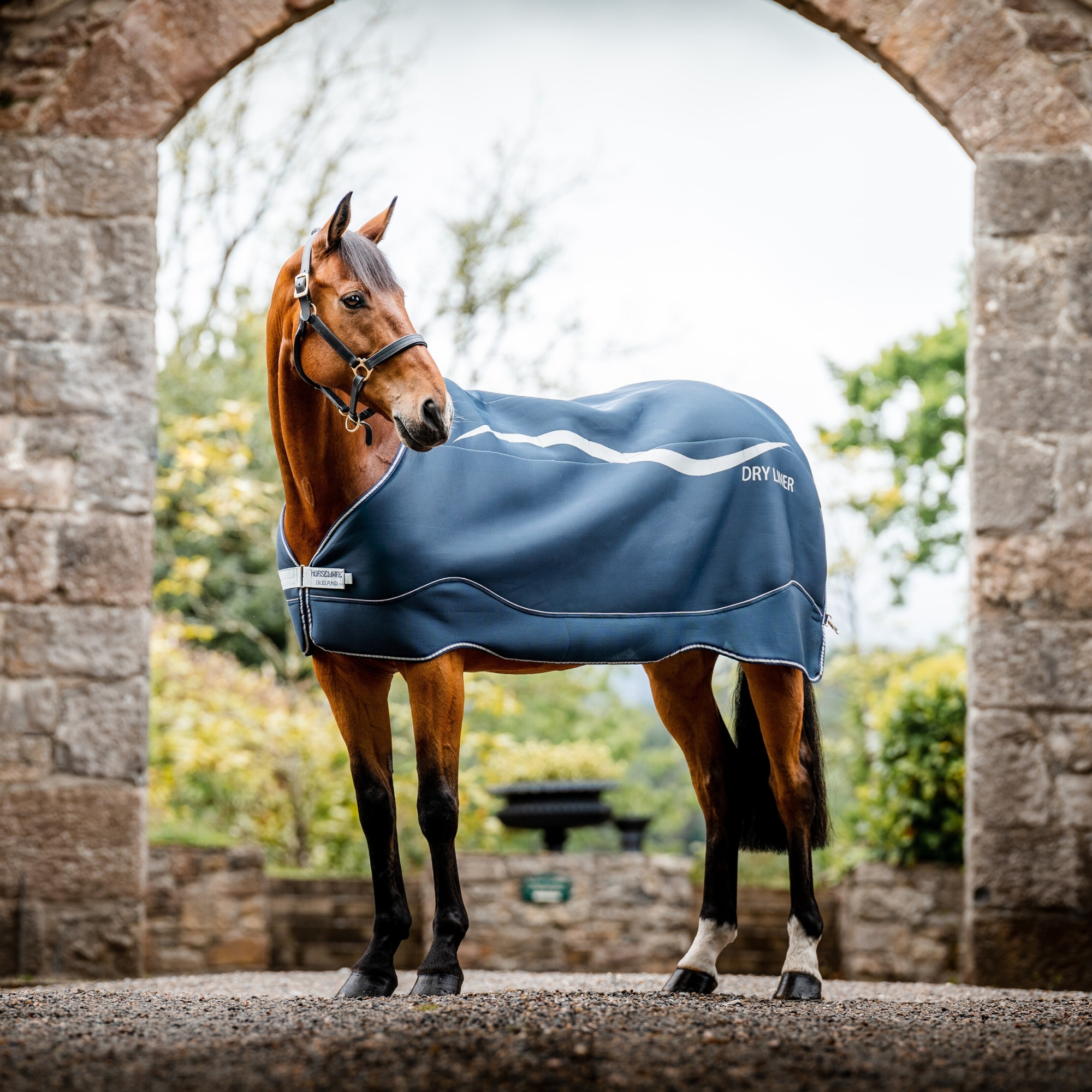 Horseware Dry Liner - Navy