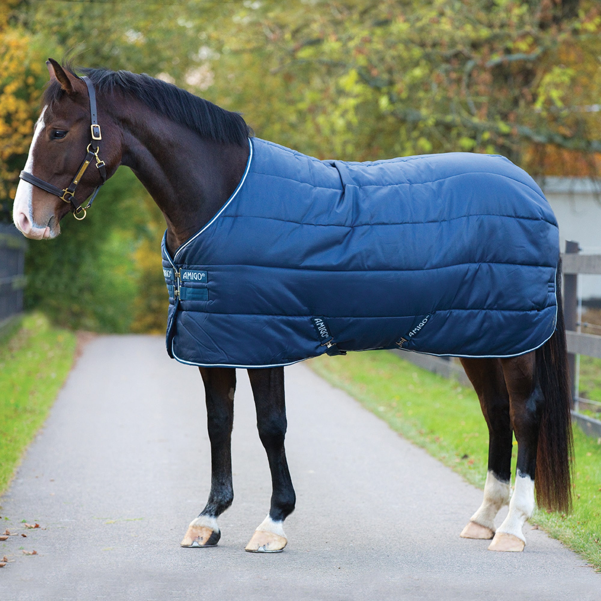 Amigo Insulator Medium 200g - Navy