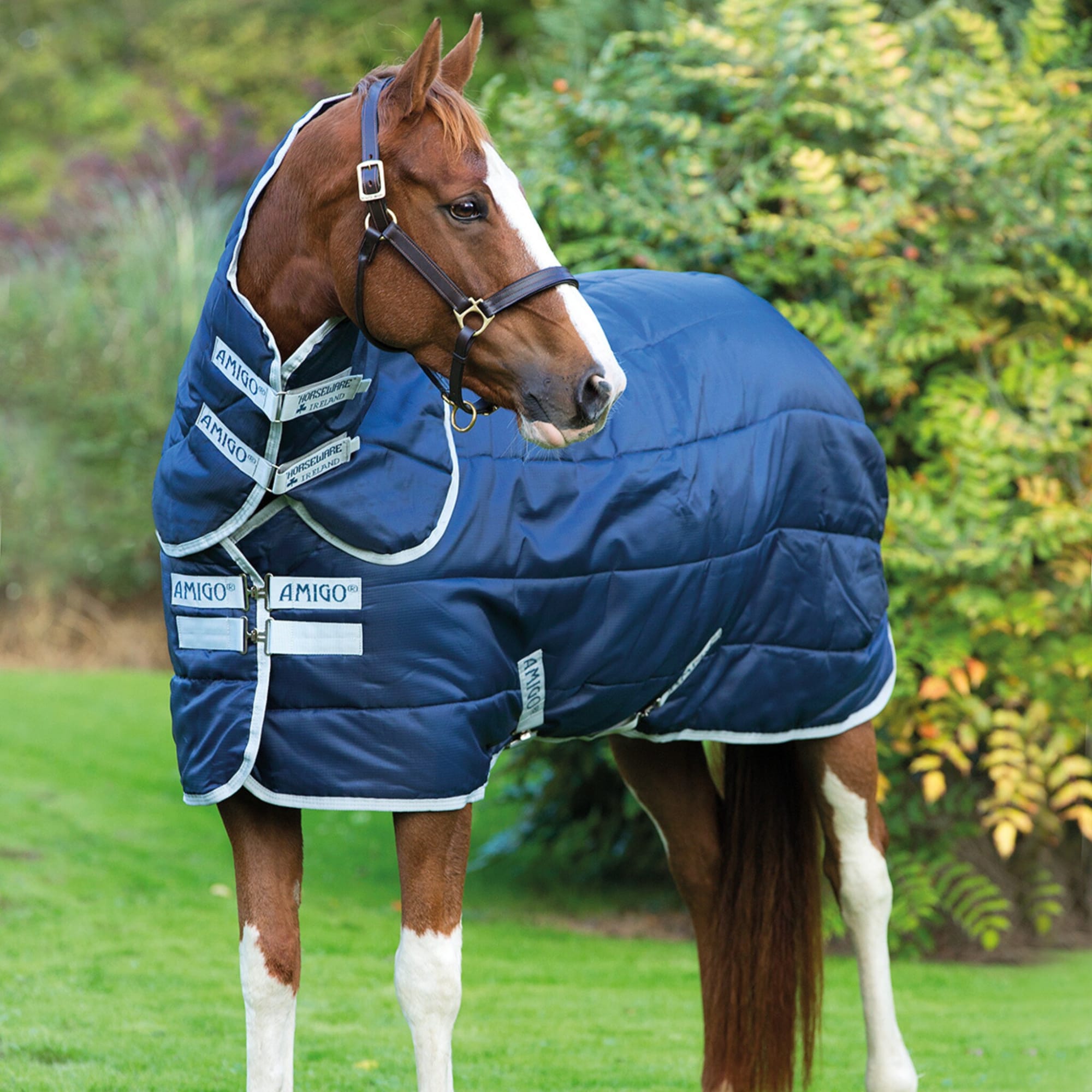 Amigo Insulator Plus 200g - Navy