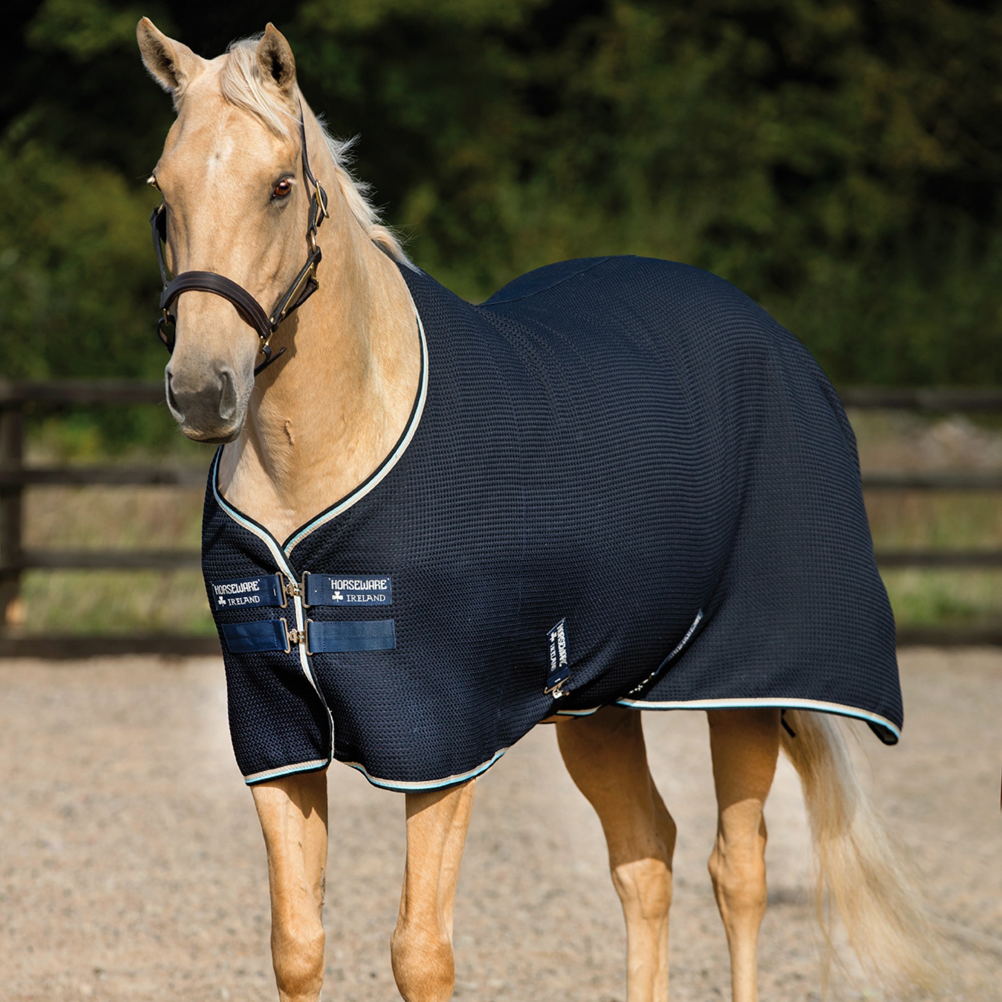 Rambo T Waffle Cooler - Navy