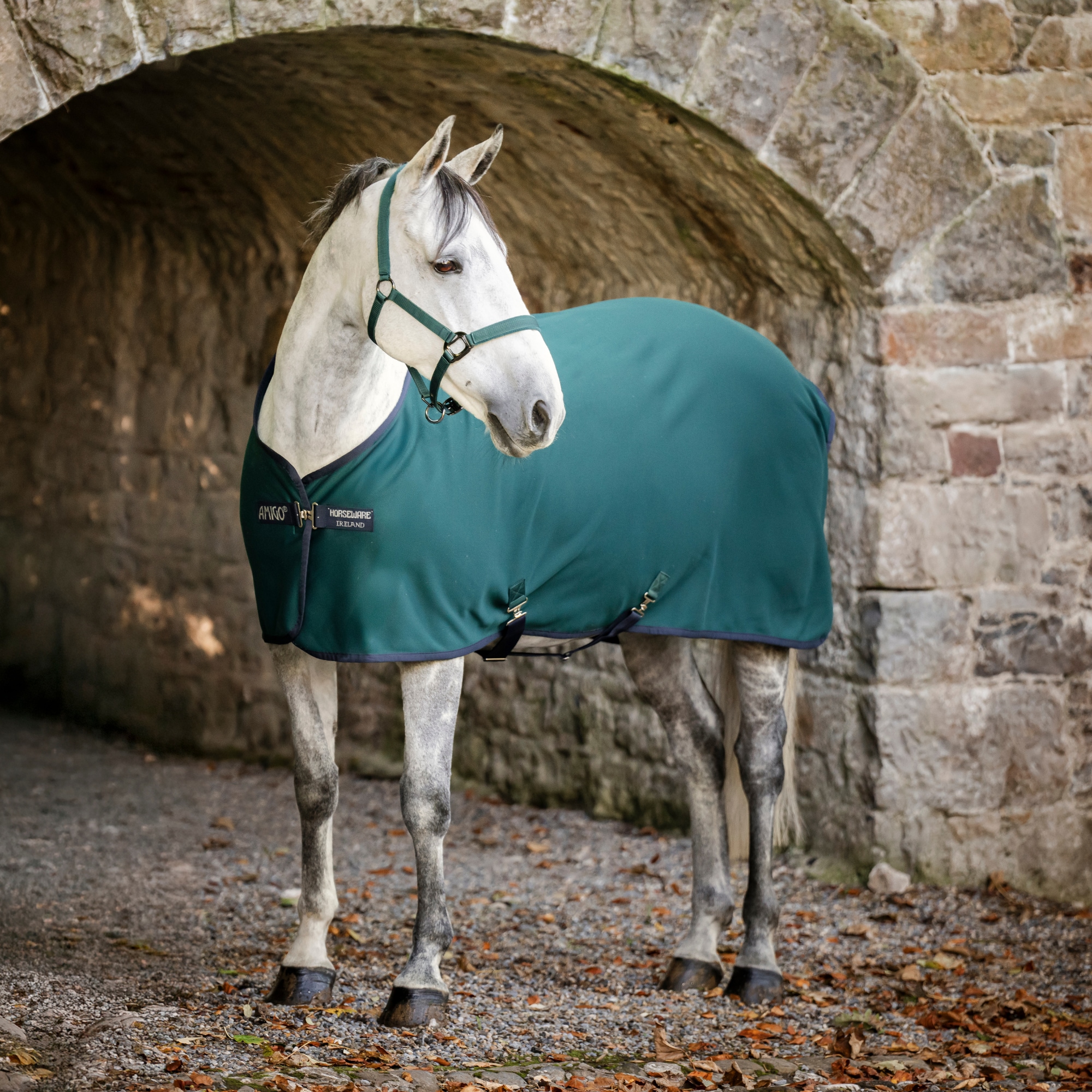 Amigo Jersey Cooler - Dynasty Green