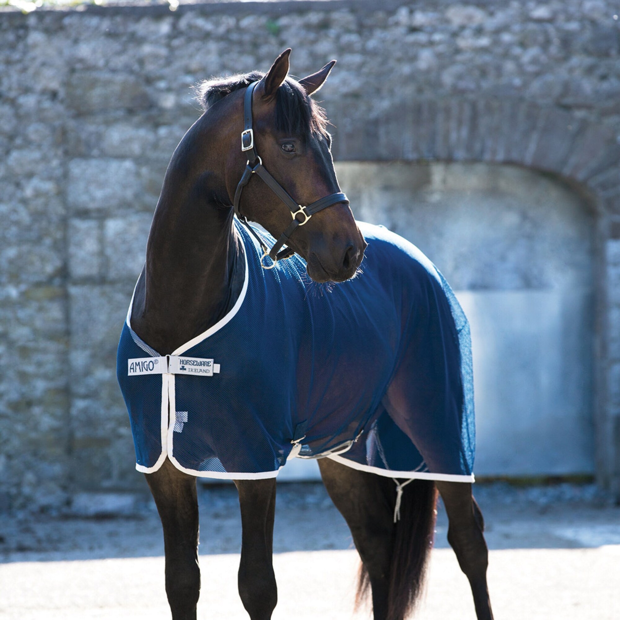 Amigo Net Cooler X Sur - Navy