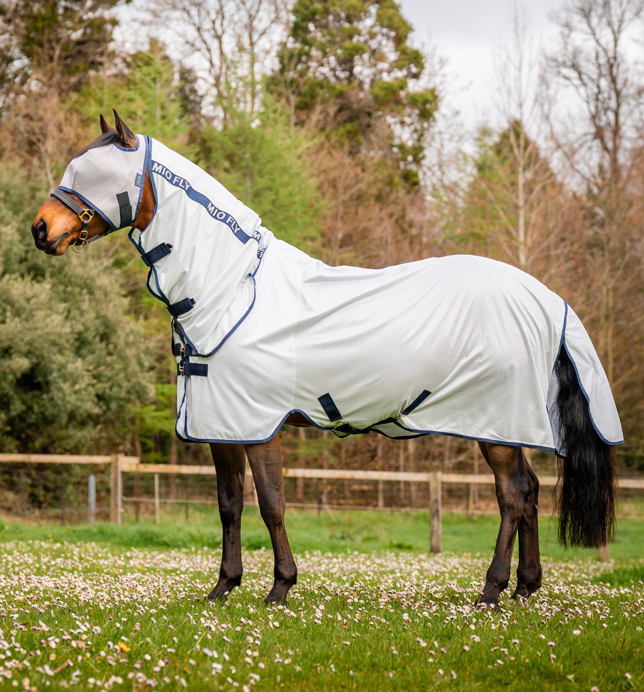 Mio Fly Rug - LunarRock/Navy