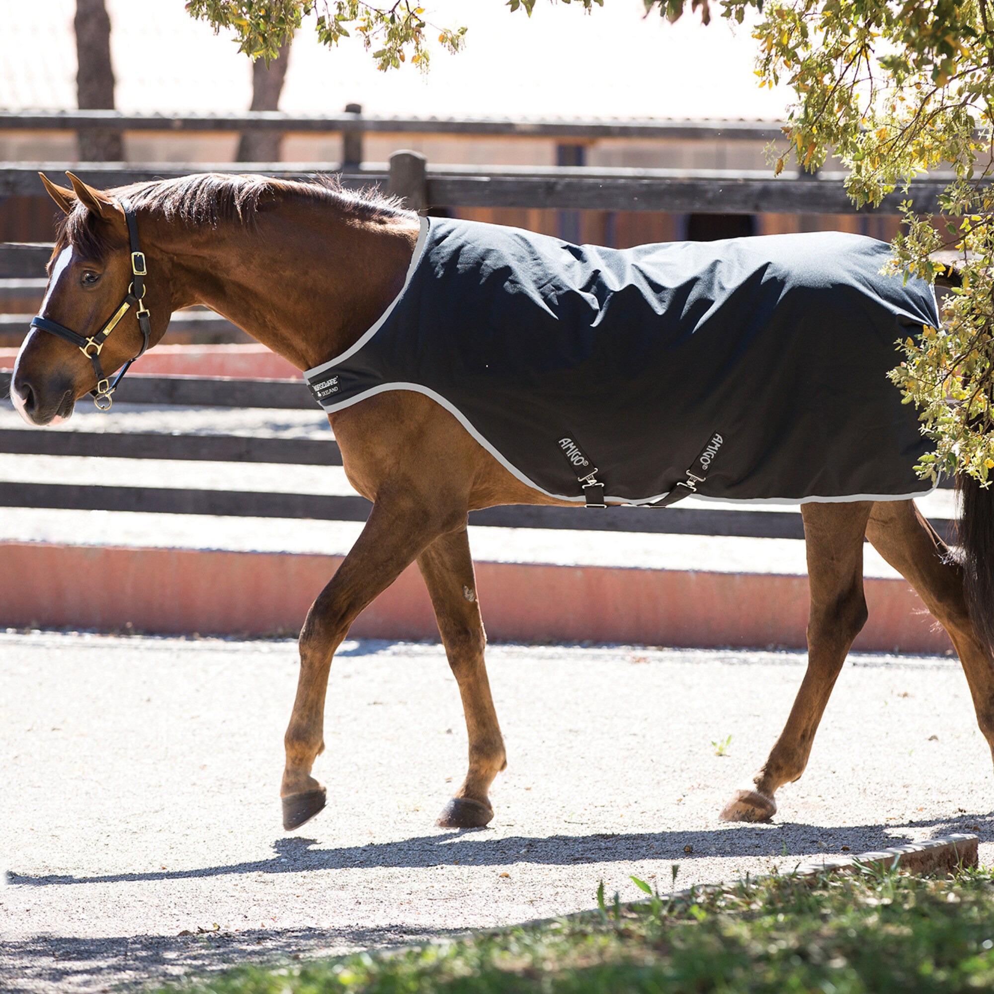 Amigo Walker Rug 200g - Black