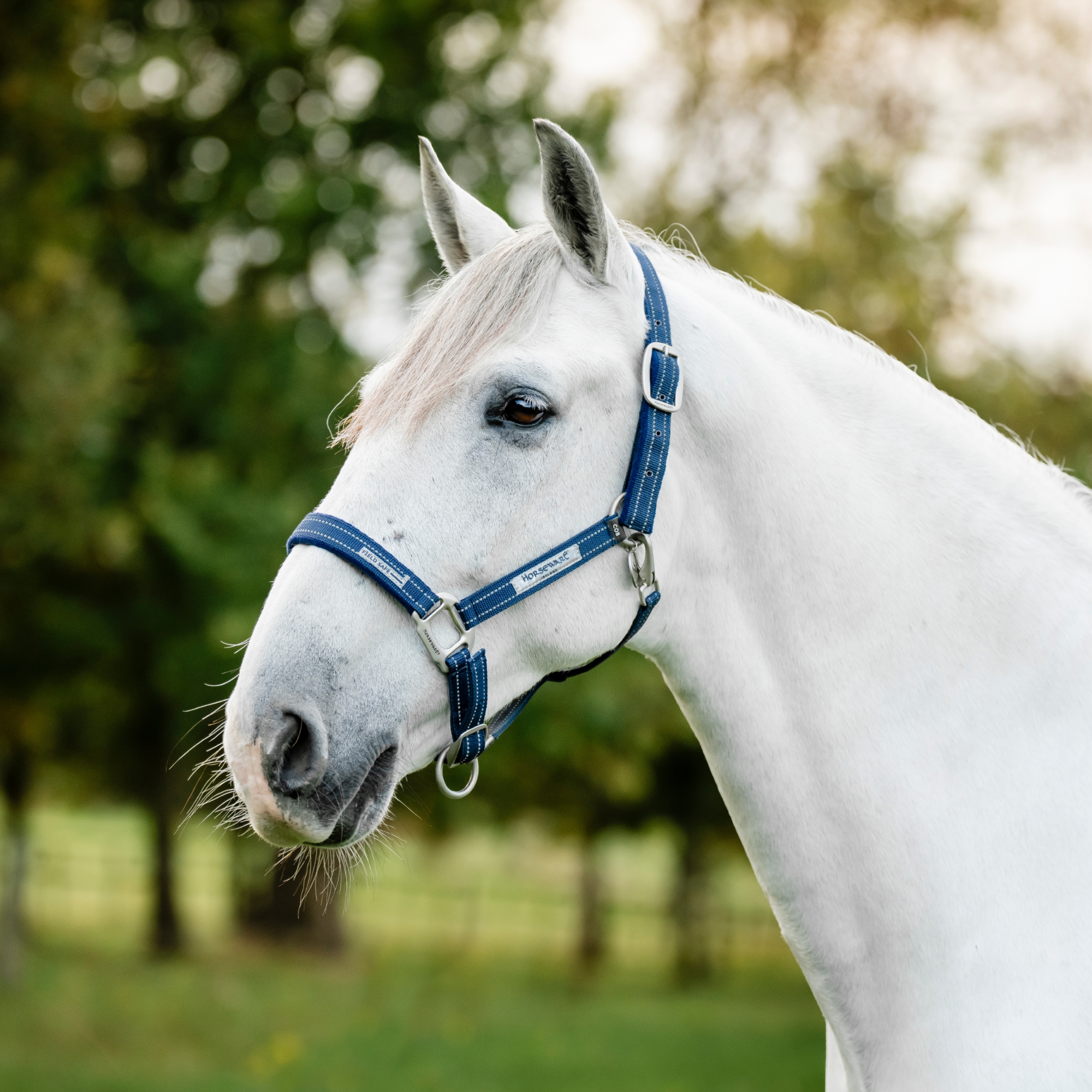 Field Safe Halter - Navy