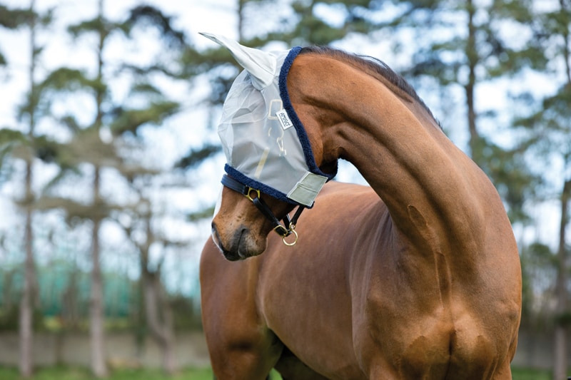 Amigo Fine Mesh Fly Mask