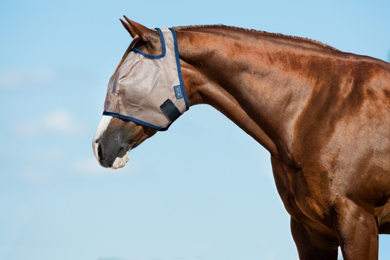 Mio Earless Fly Mask