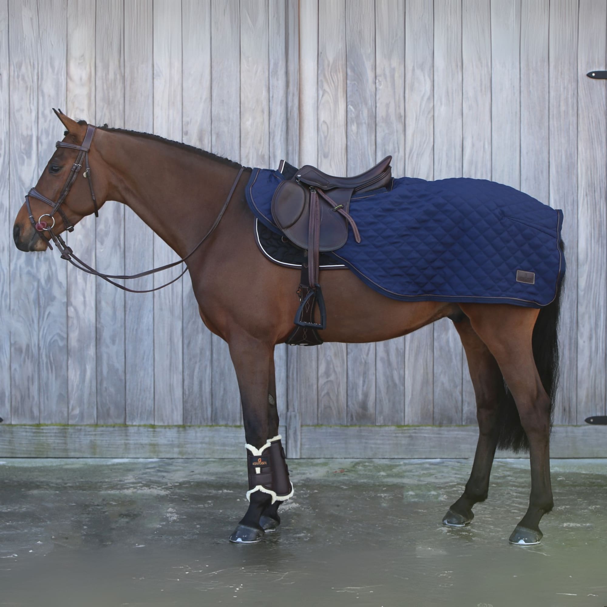 Riding Rug 160g - Navy
