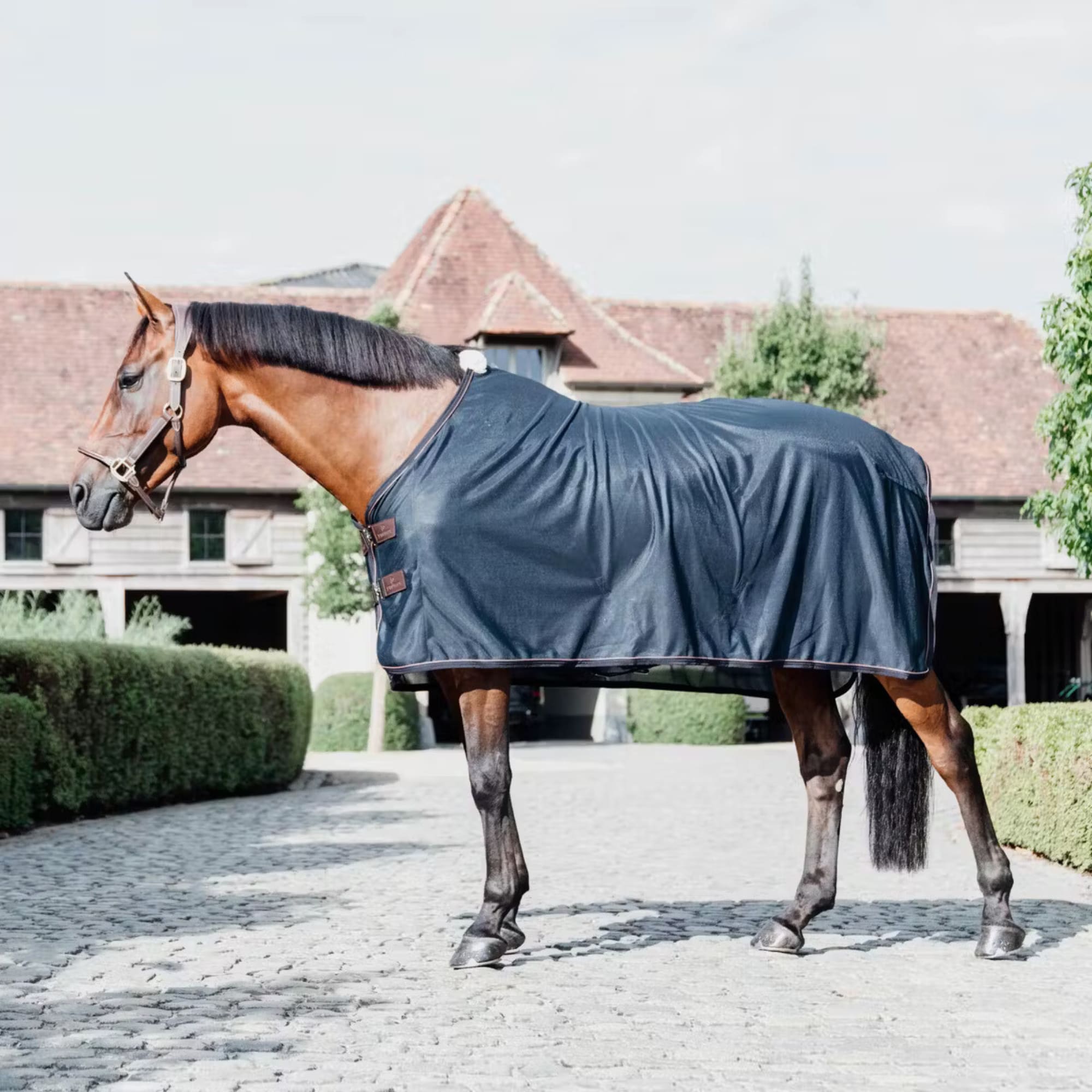 Mesh Fly Sheet - Navy