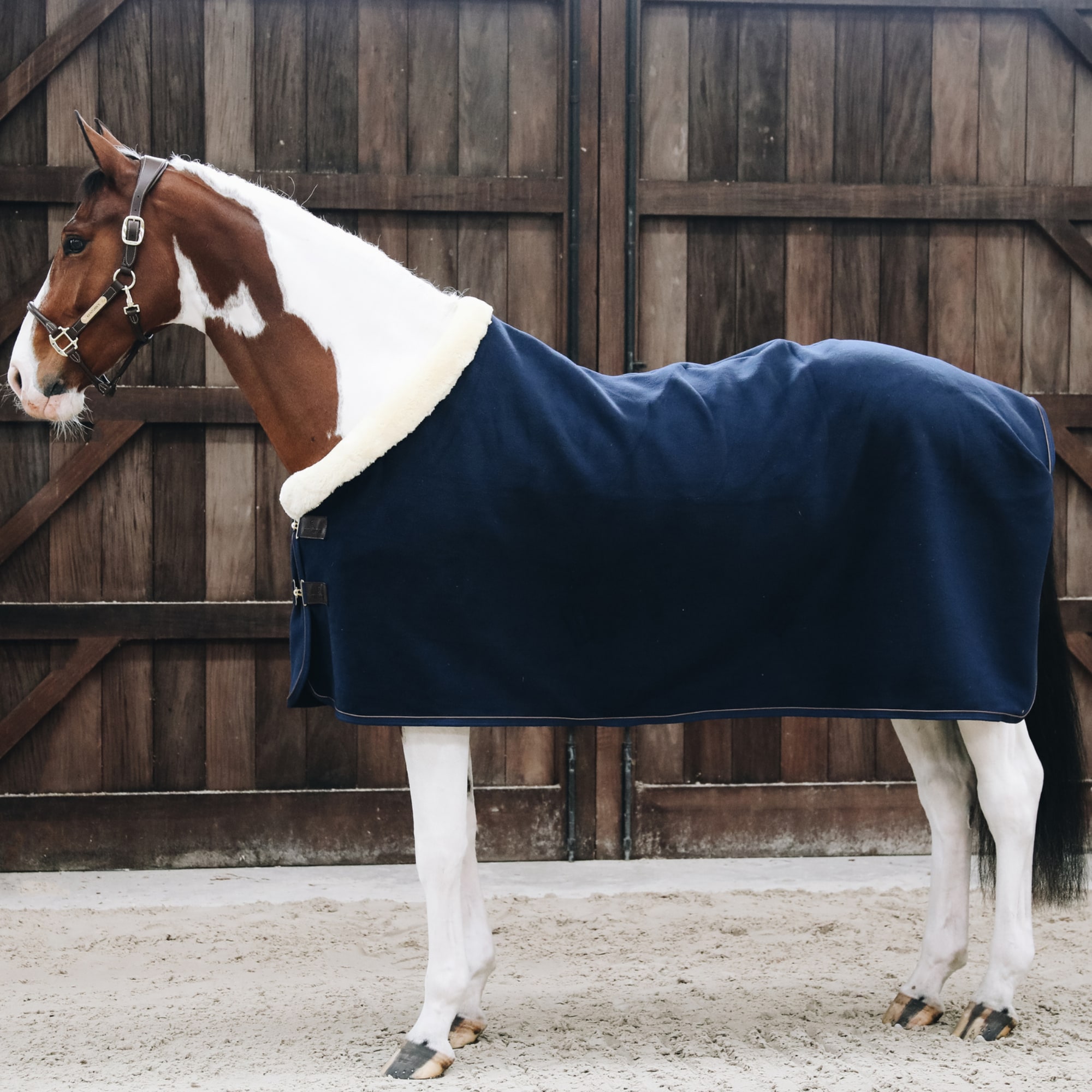 Fleece Show Rug - Navy