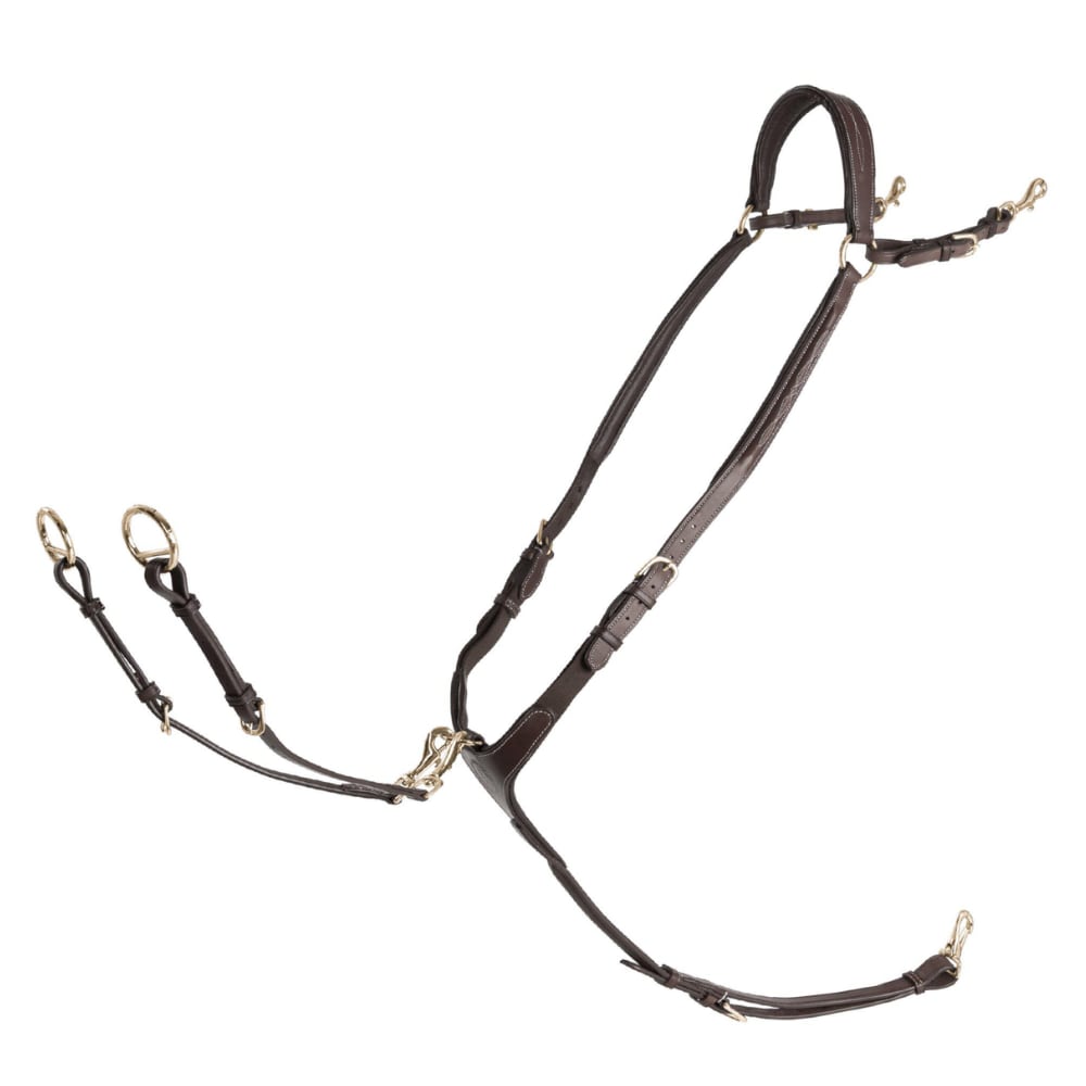 Breast Plate Fazzino - Chocolate/Gold