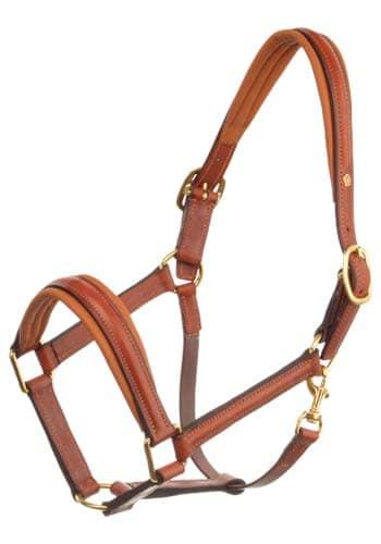 Leather halter - Havanna