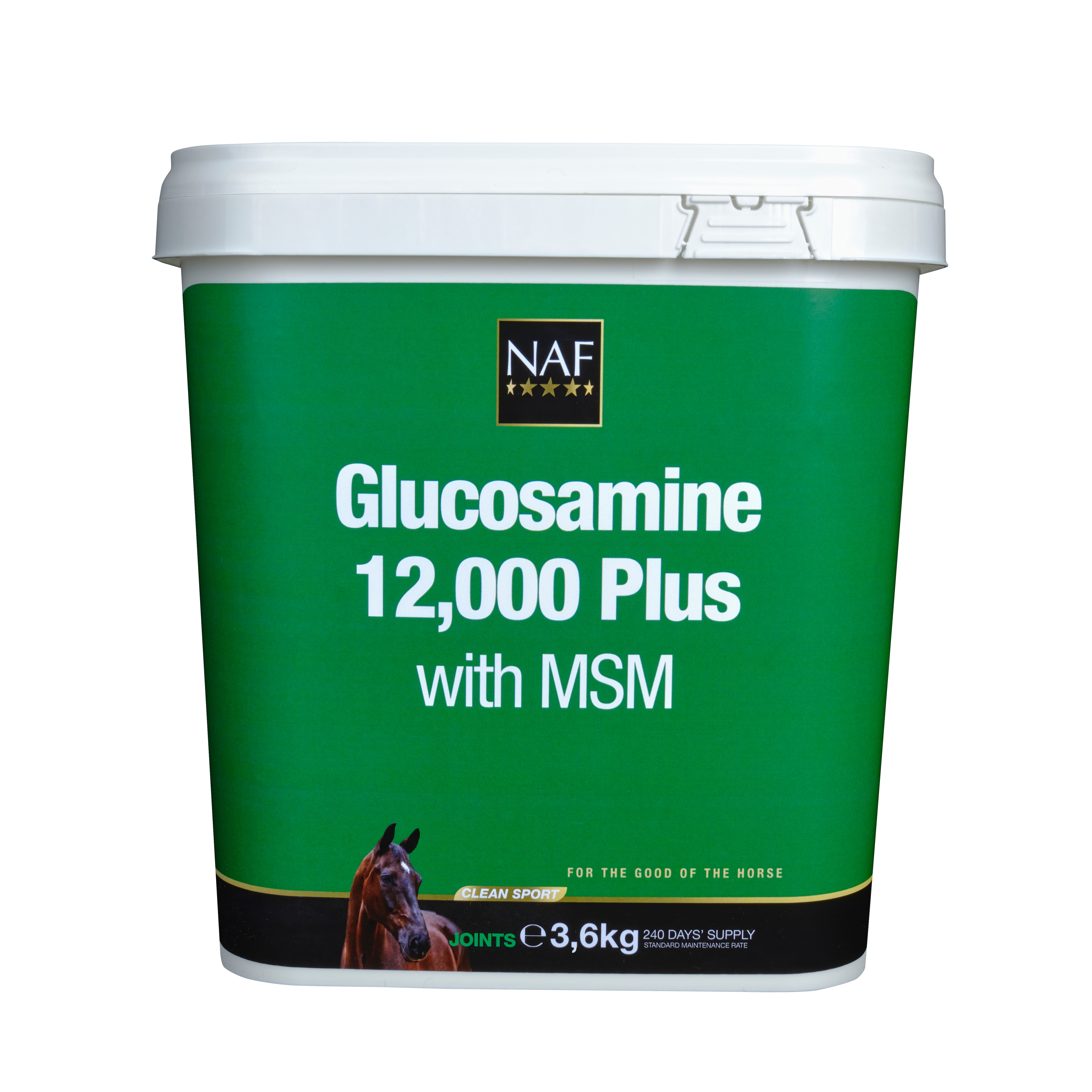 Glucosamine 12.000 Plus MSM - 3600 gr