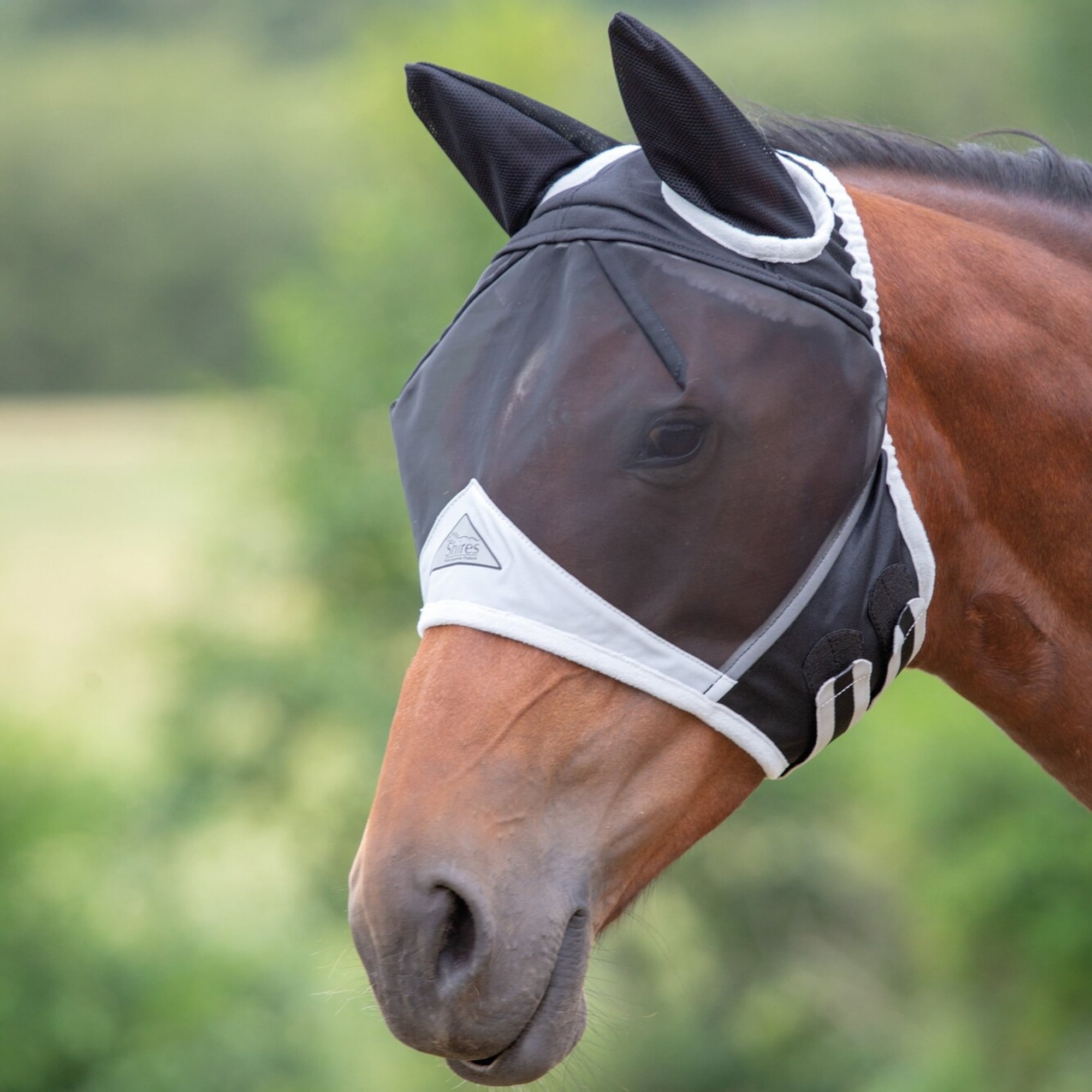 Open Forelock Fly Mask