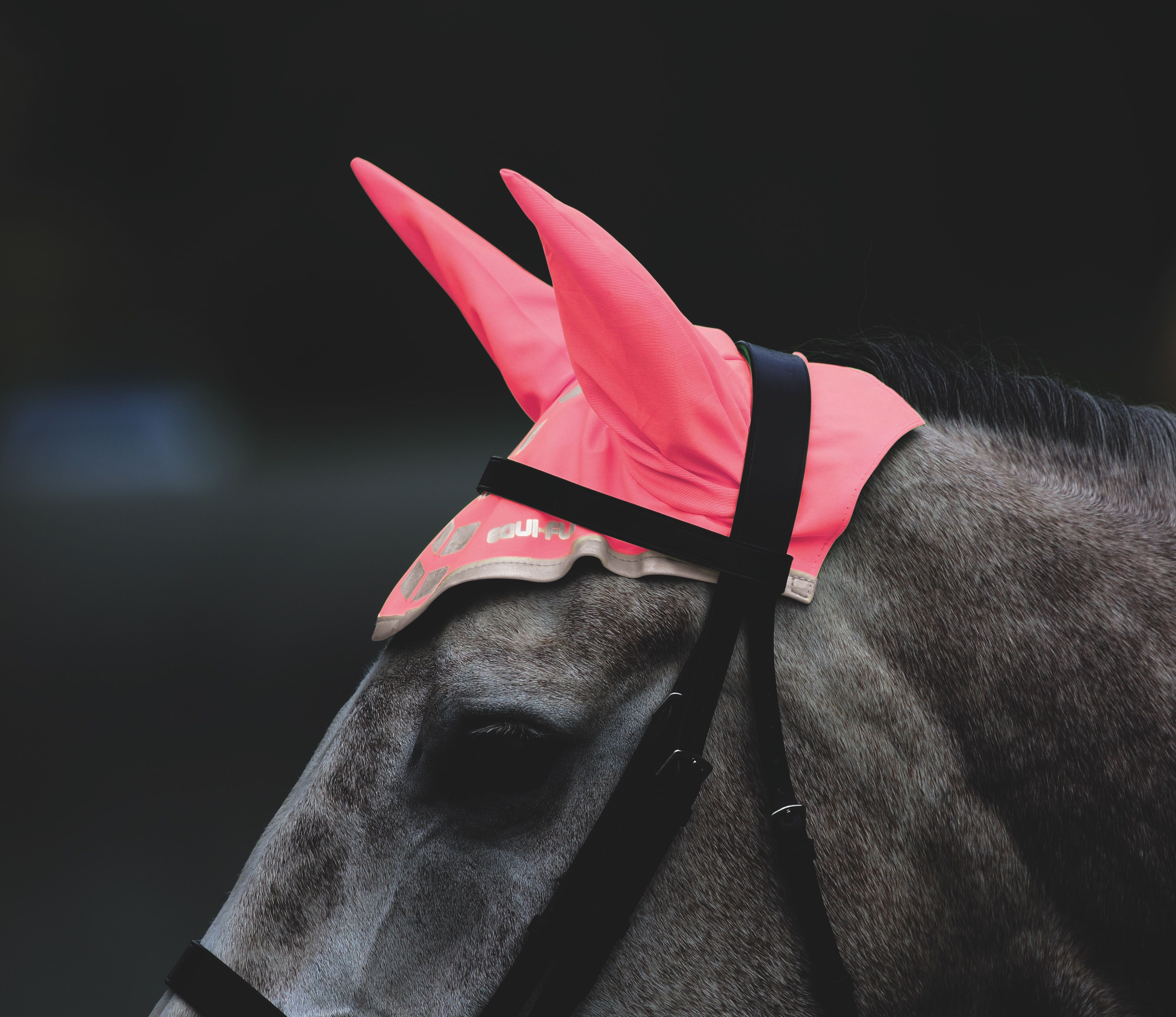 EQUI-FLECTOR® rosa reflexhuva