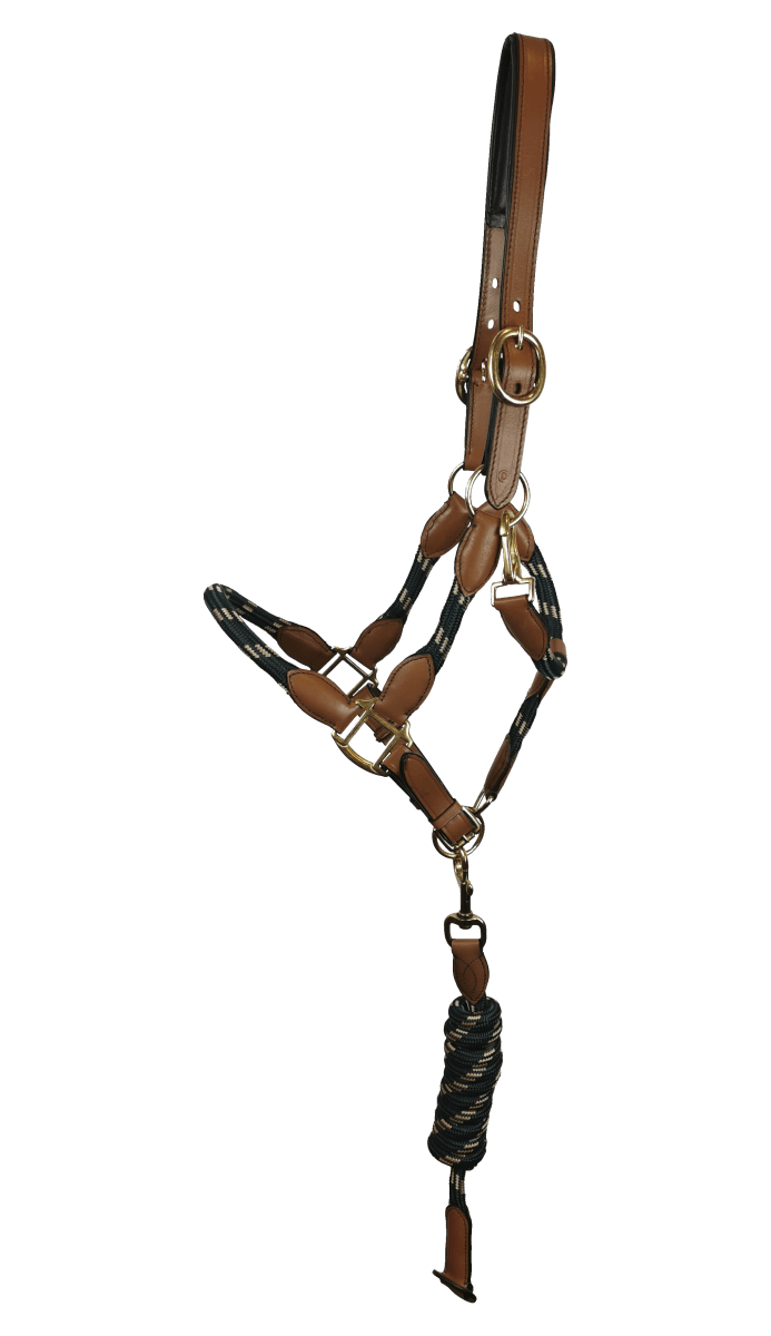Halter Rope/Leather - Green