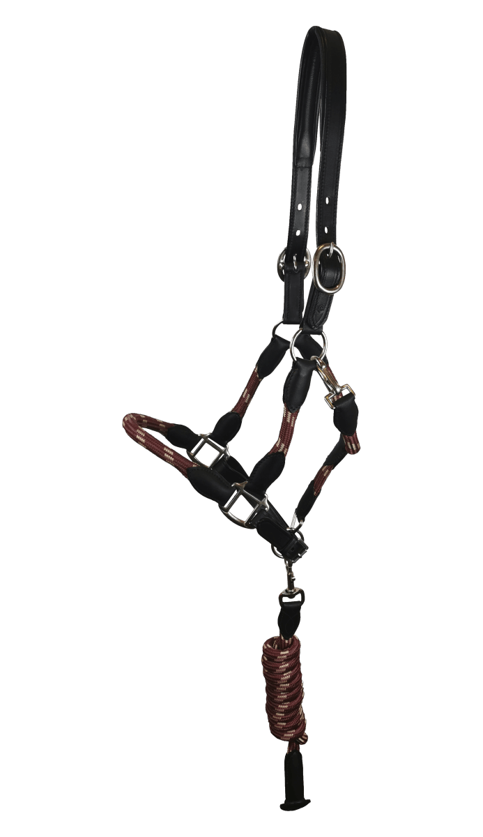 Halter Rope/Leather - Green