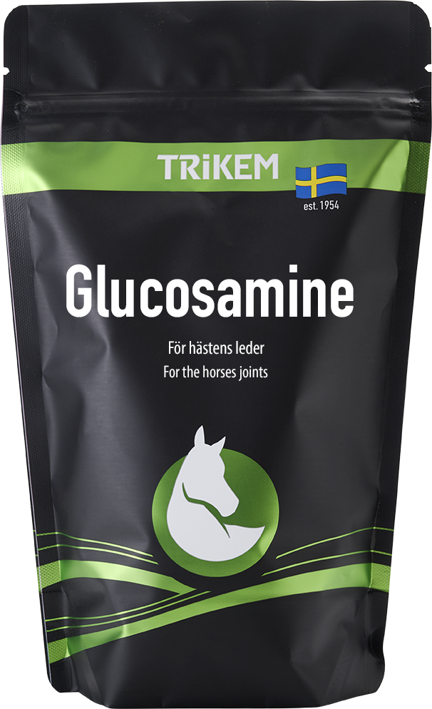 Glucosamine - 500gr