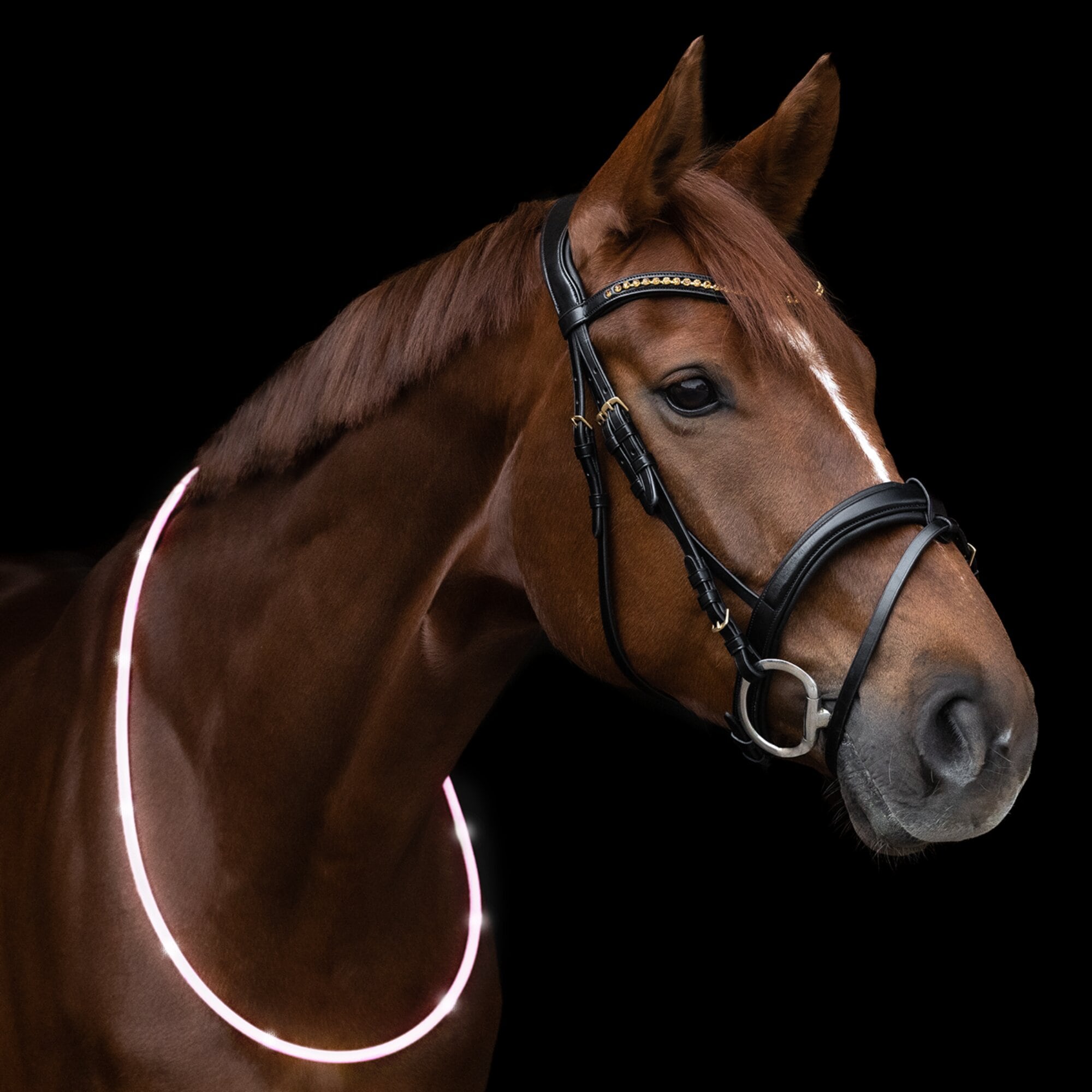 LED illuminated neck ring - White